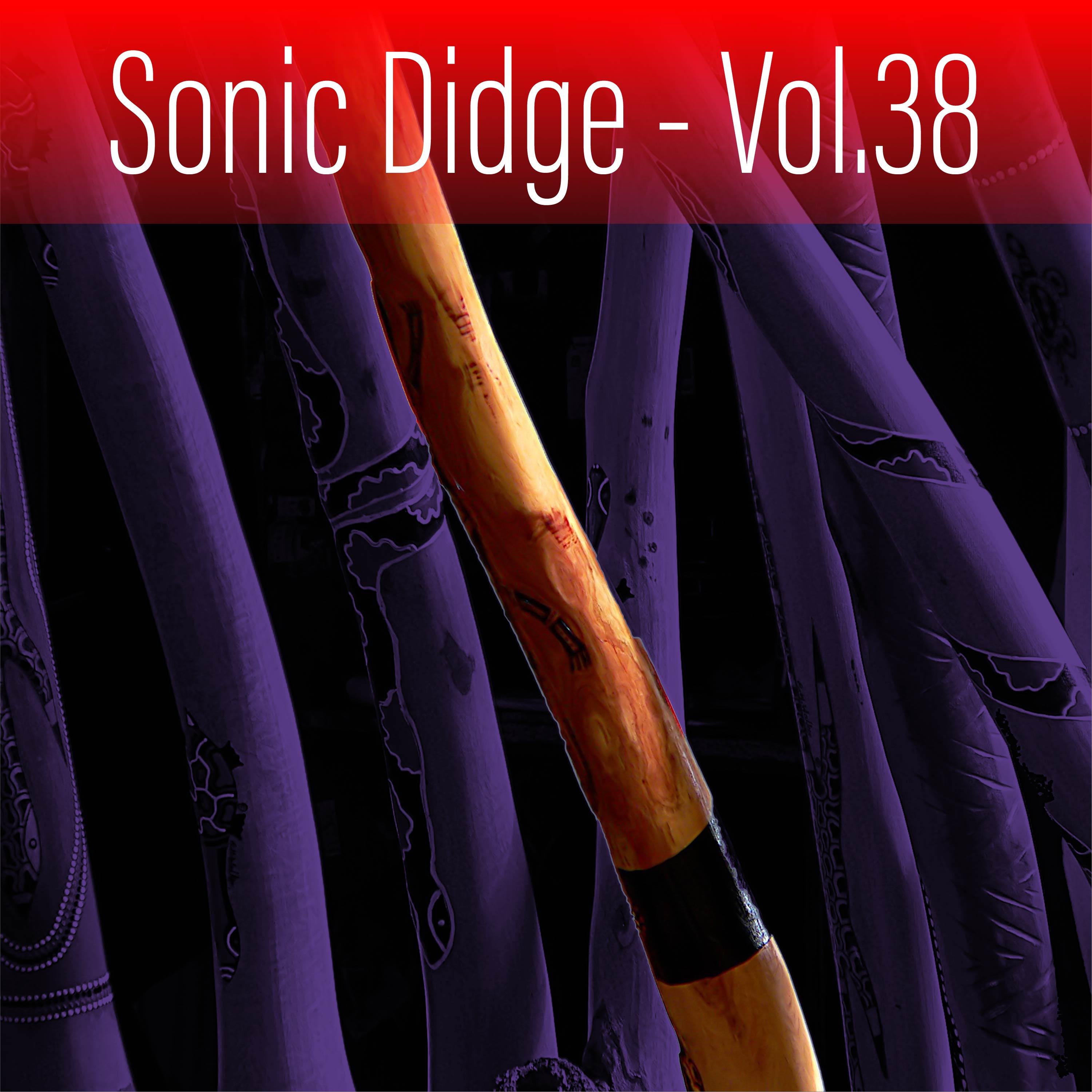 Постер альбома Sonic Didge, Vol. 38