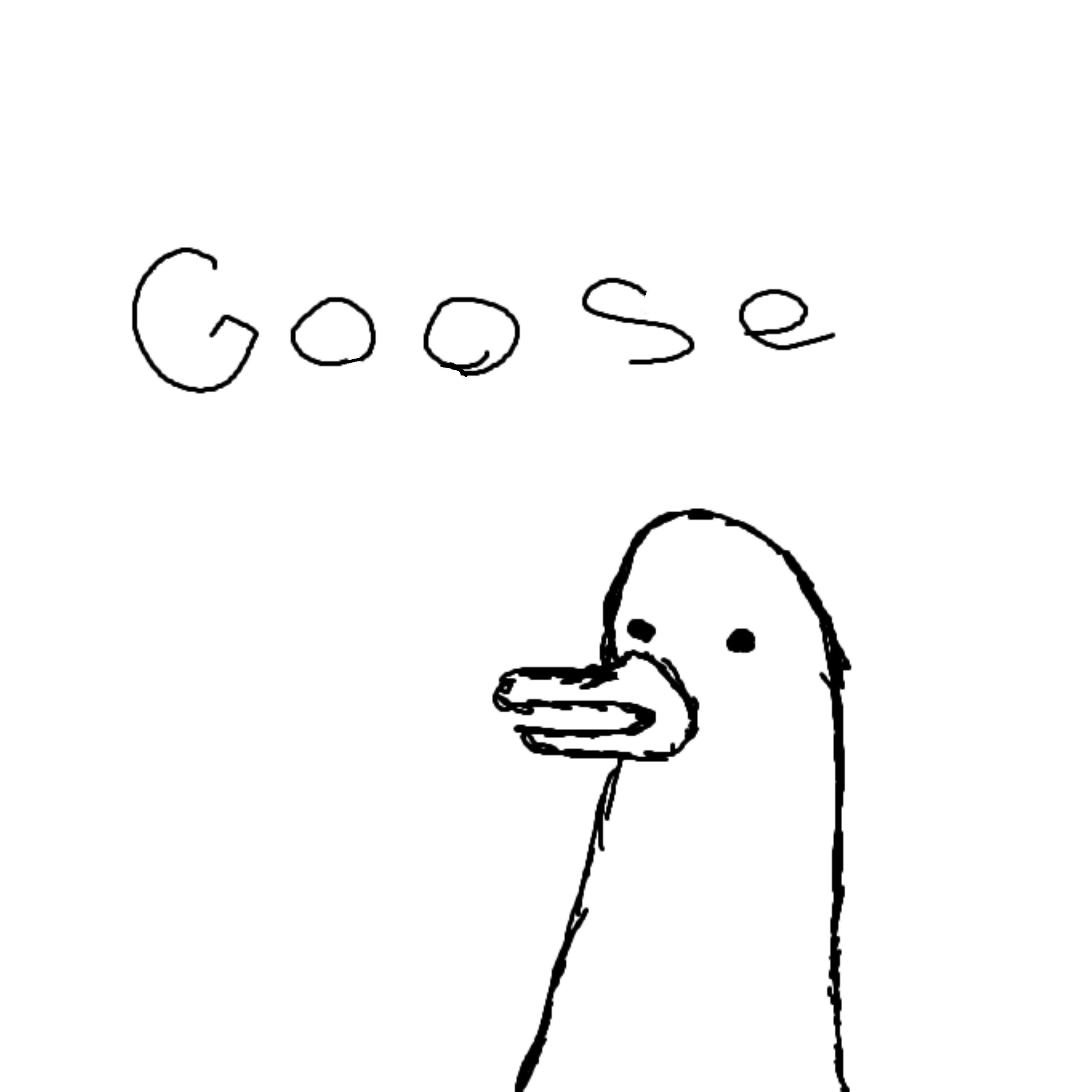 Постер альбома Goose