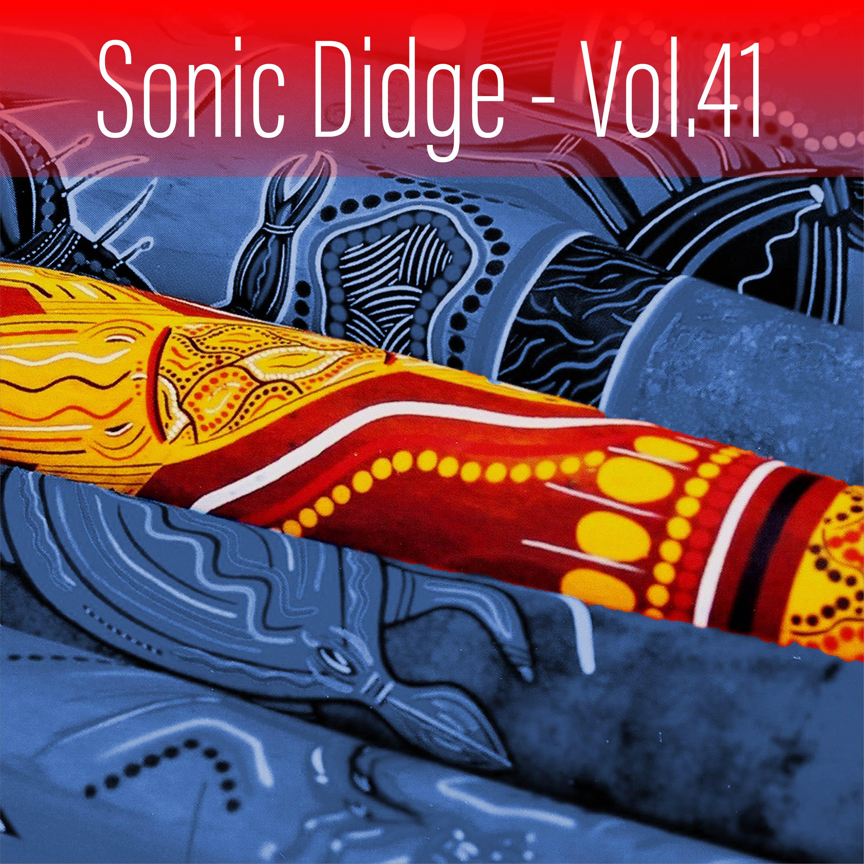 Постер альбома Sonic Didge, Vol. 41