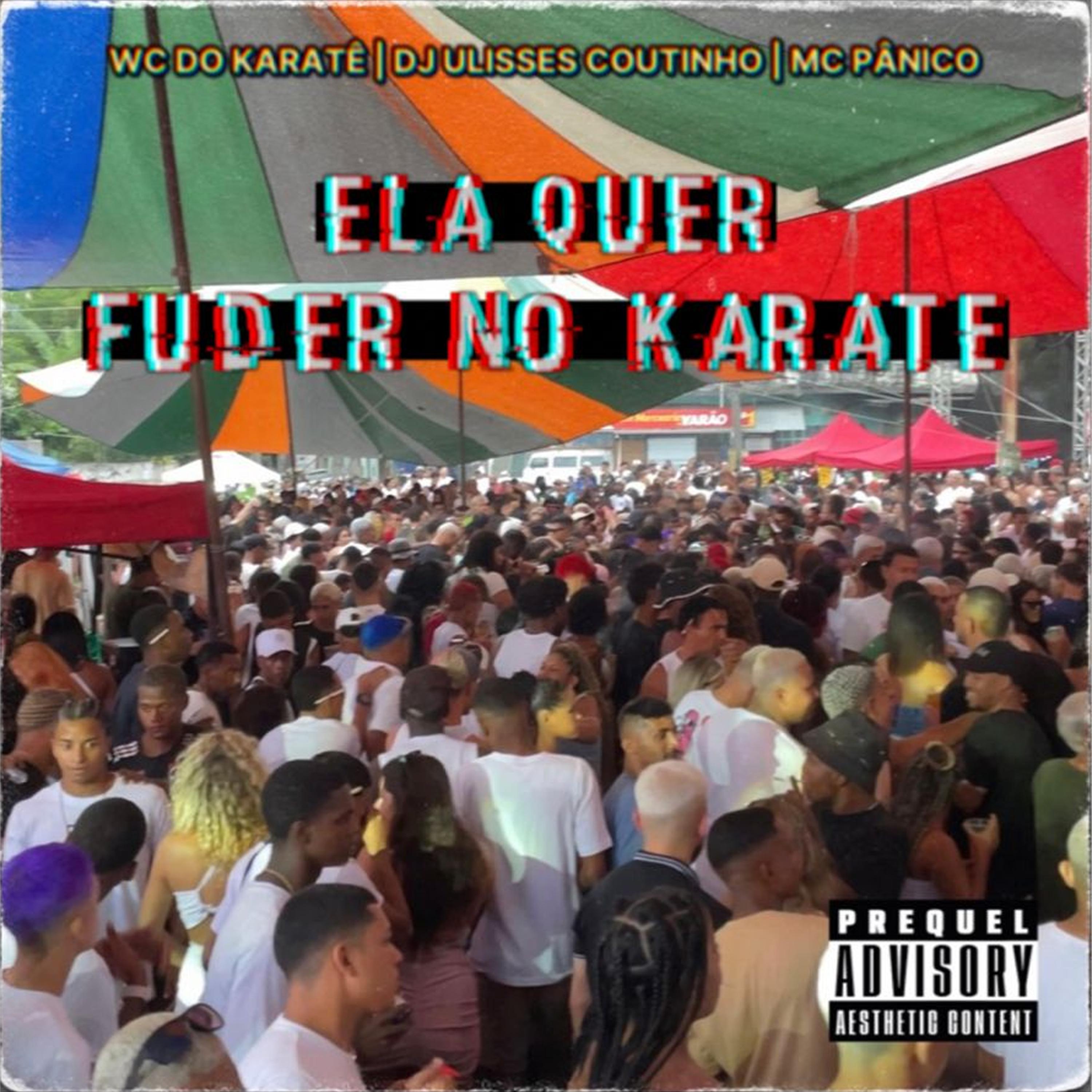 Постер альбома Ela Quer Fuder no Karate