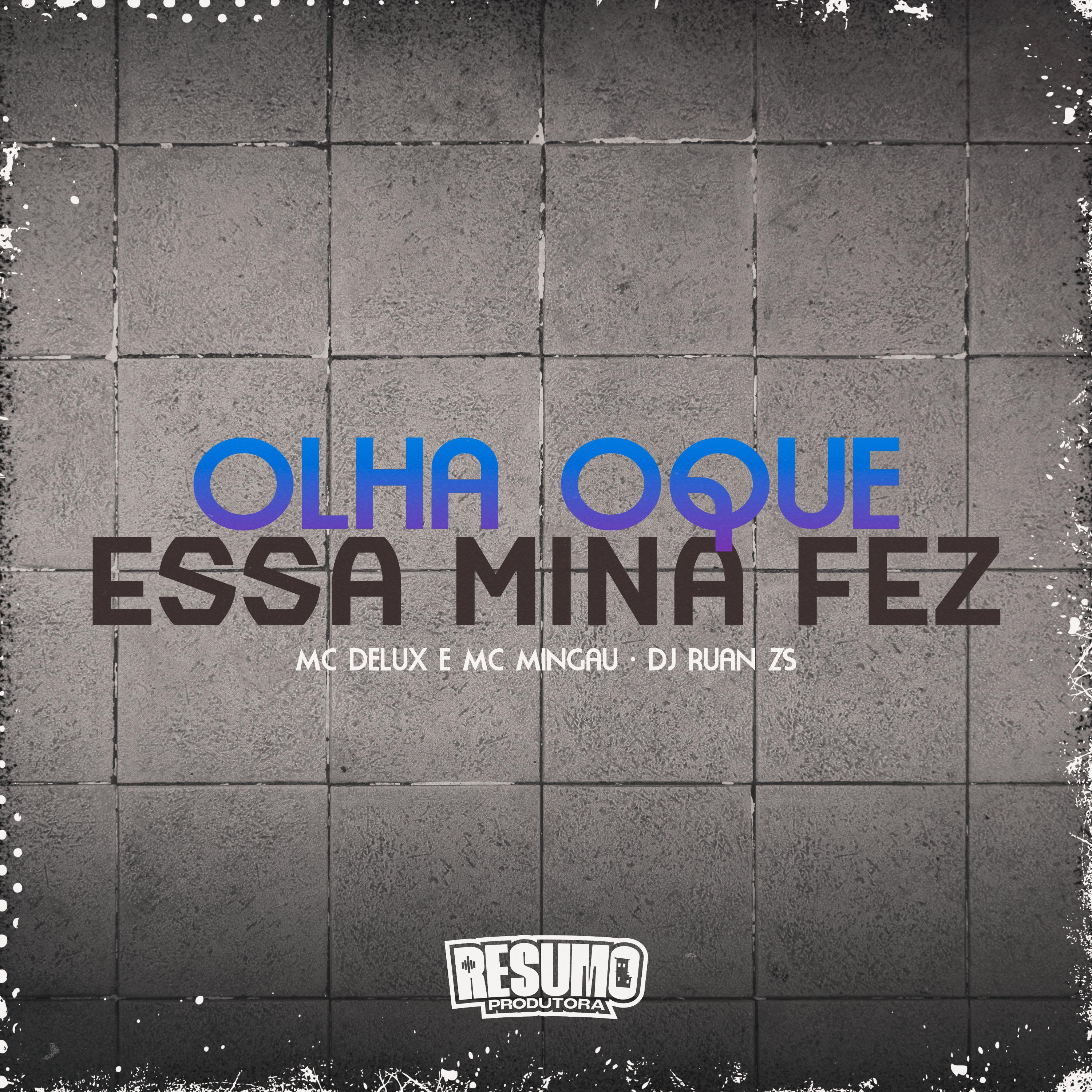 Постер альбома Olha o Que Essa Mina Fez