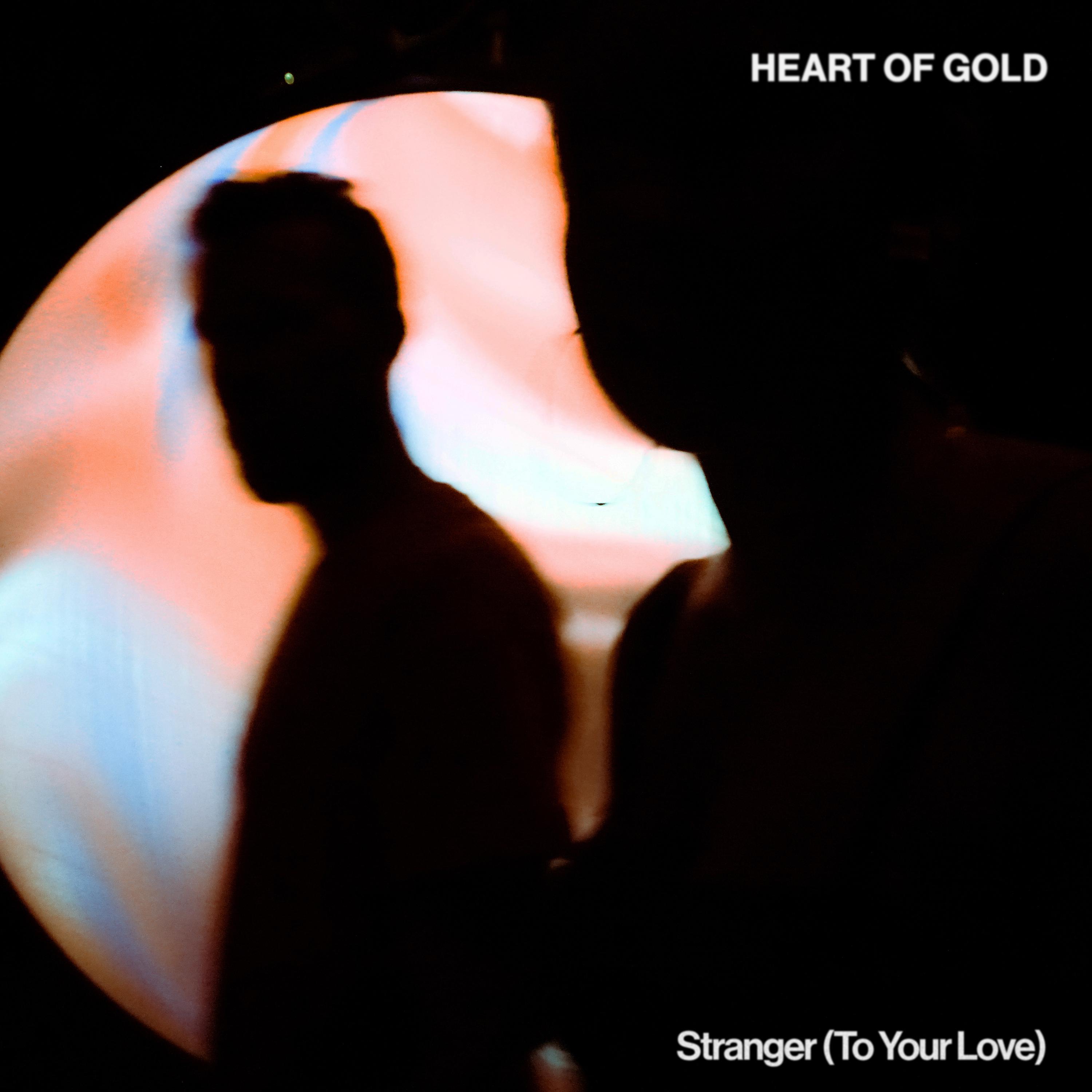 Постер альбома Stranger (To Your Love)