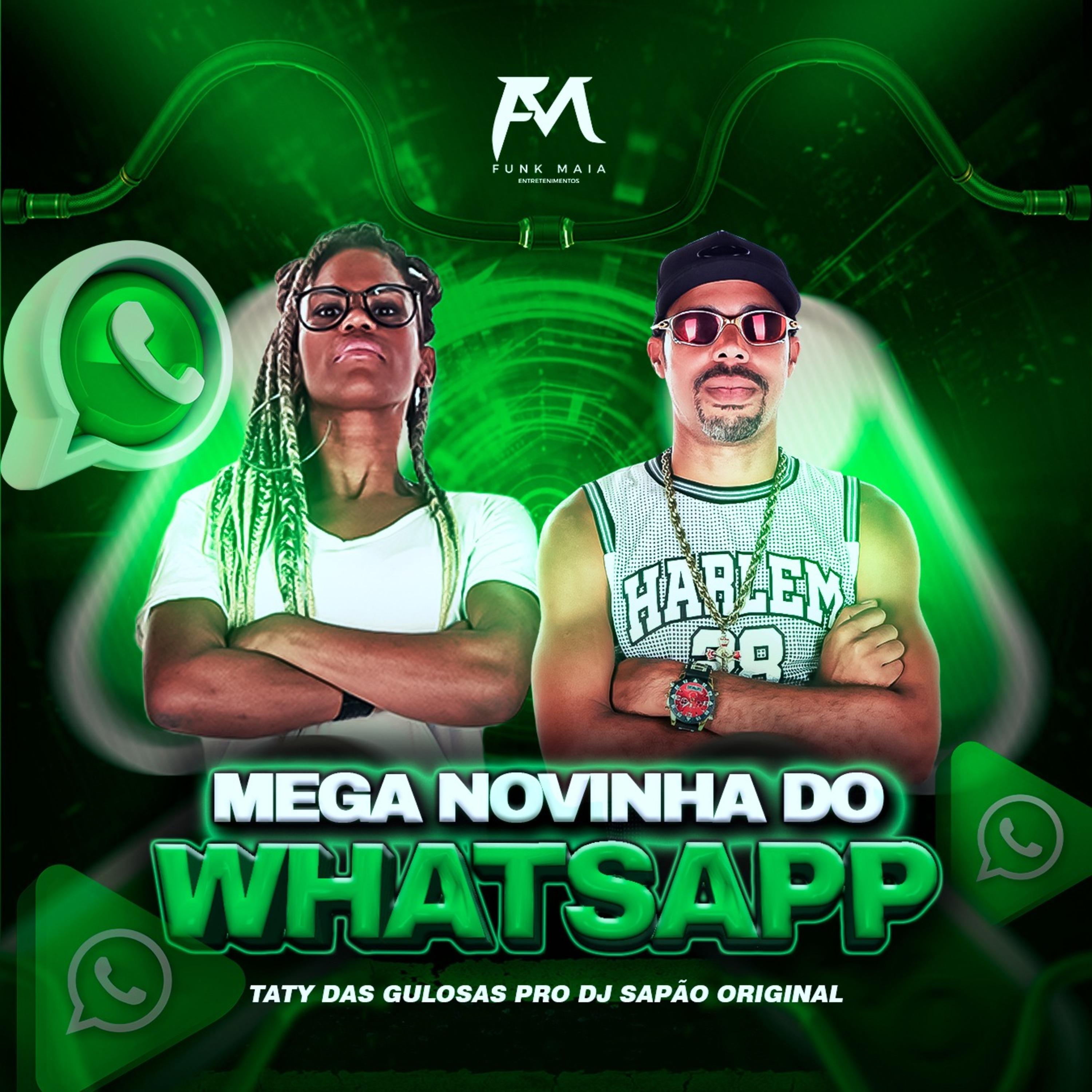 Постер альбома Mega Novinhha do Whatsapp