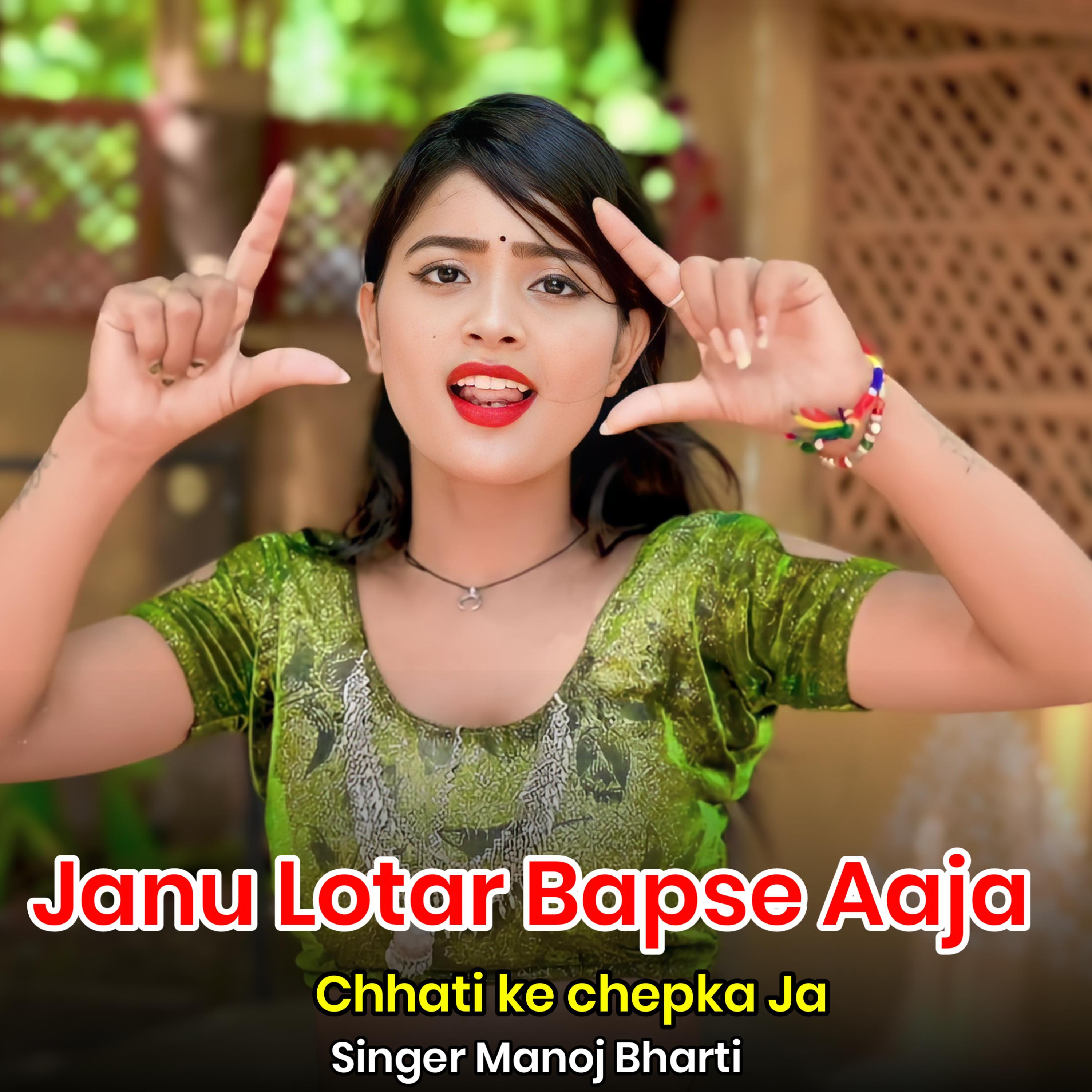Постер альбома Janu Lotar Bapse Aaja Chhati ke chepka Ja