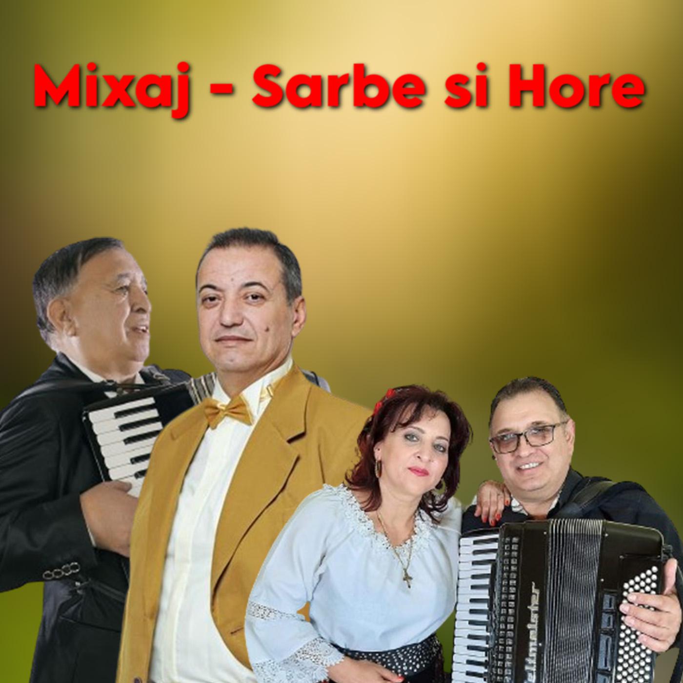 Постер альбома Mixaj - Sarbe si Hore