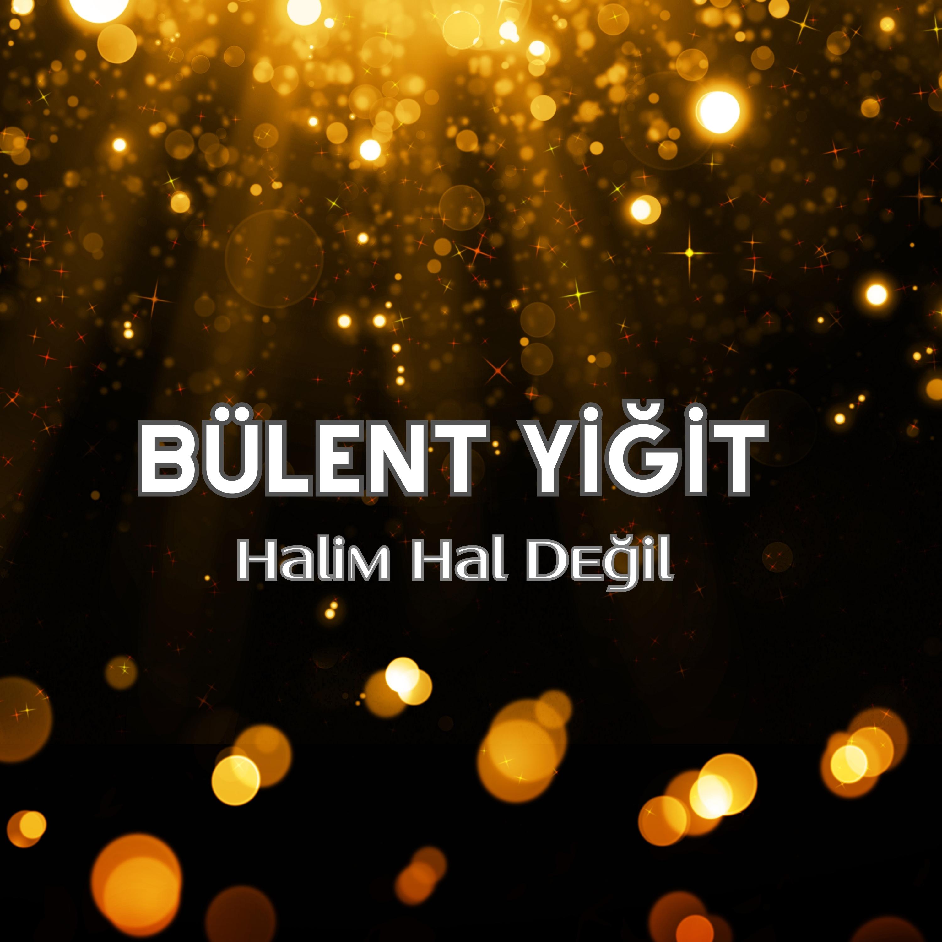 Постер альбома Halim Hal Değil