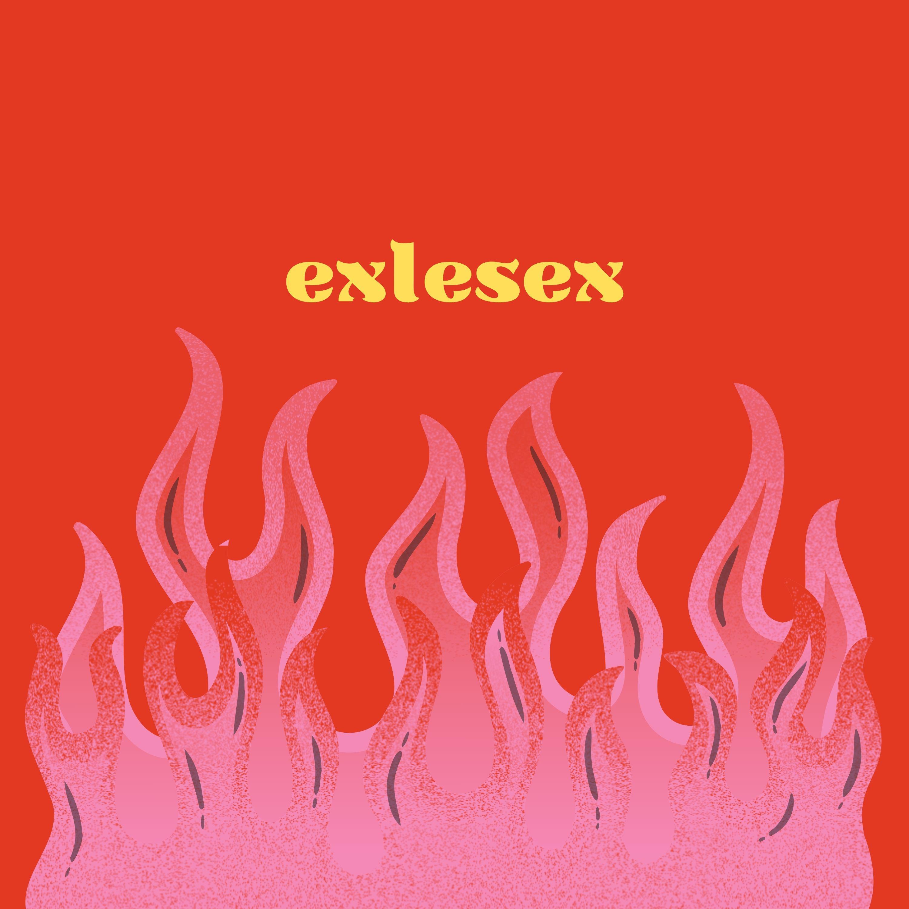 Постер альбома exlesex