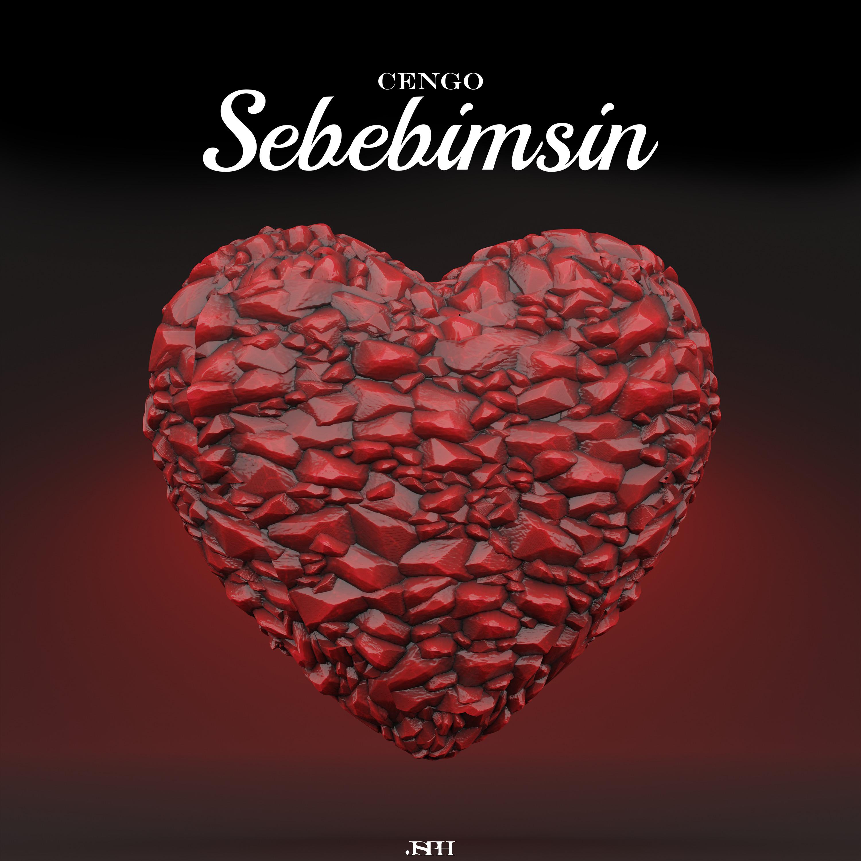 Постер альбома SEBEBIMSIN