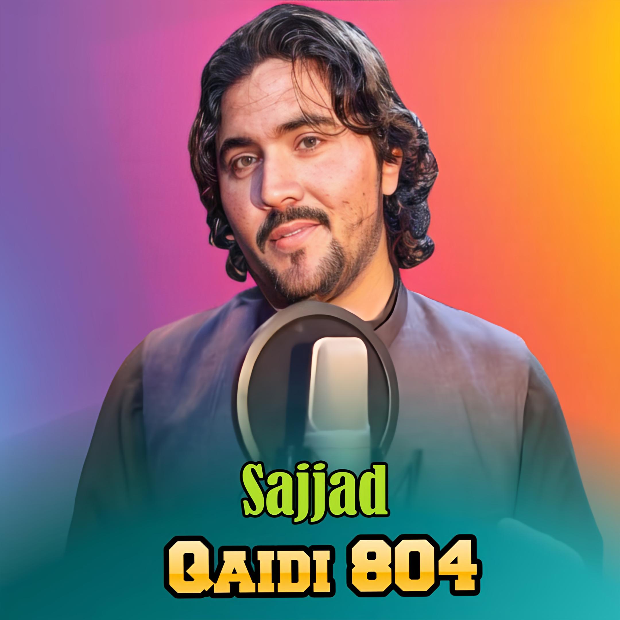 Постер альбома Qaidi 804