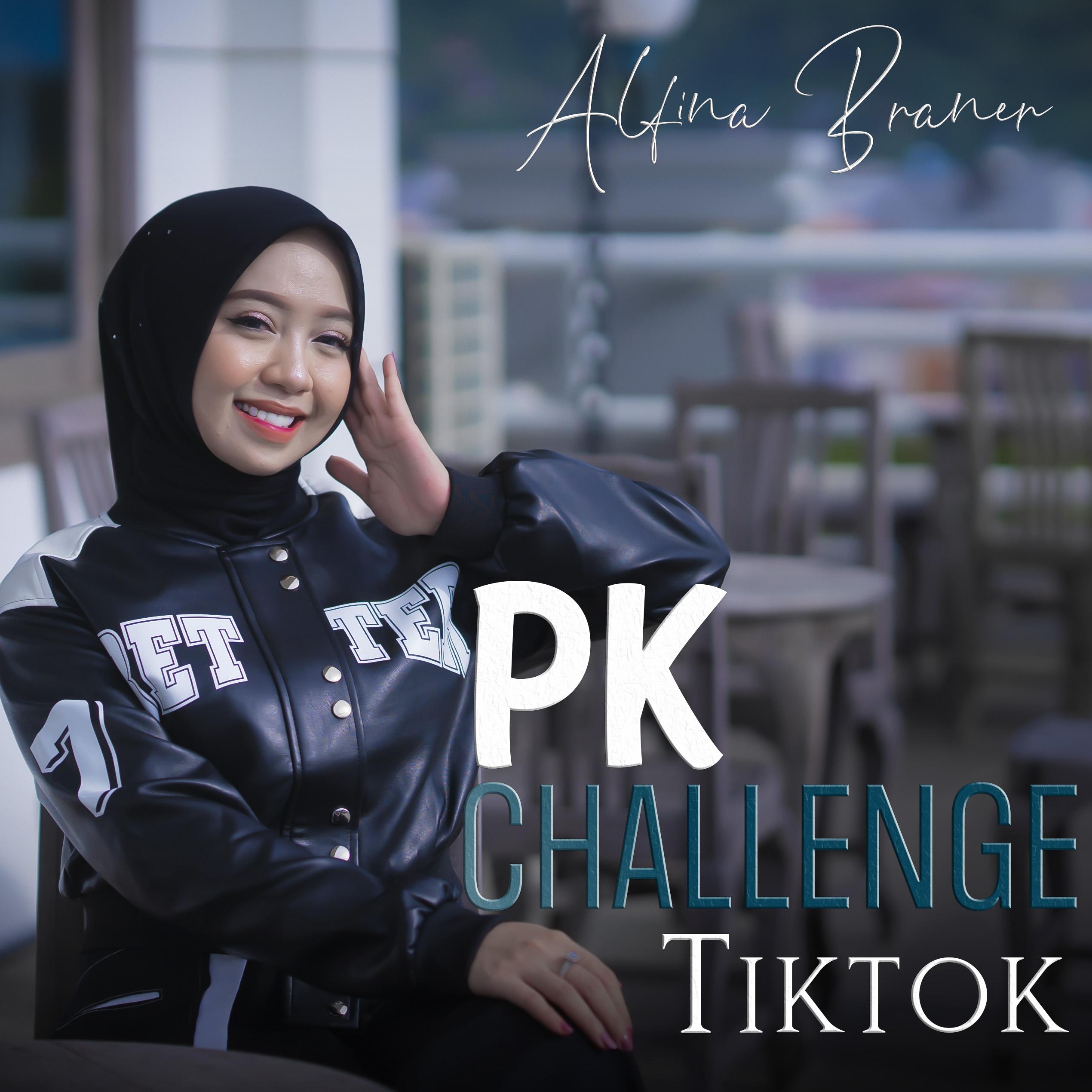 Постер альбома Pk Challenge Tiktok