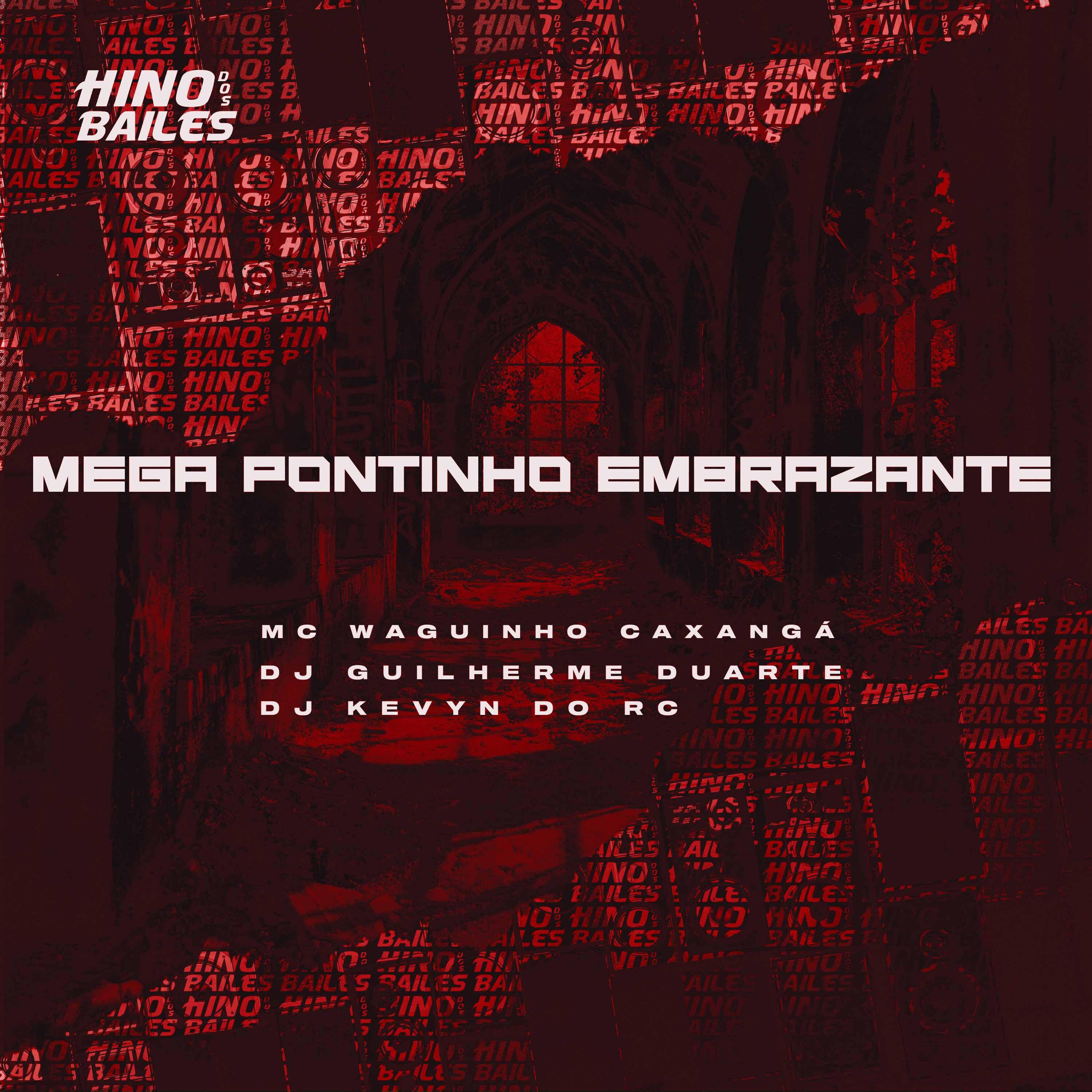 Постер альбома Mega Pontinho Embrazante