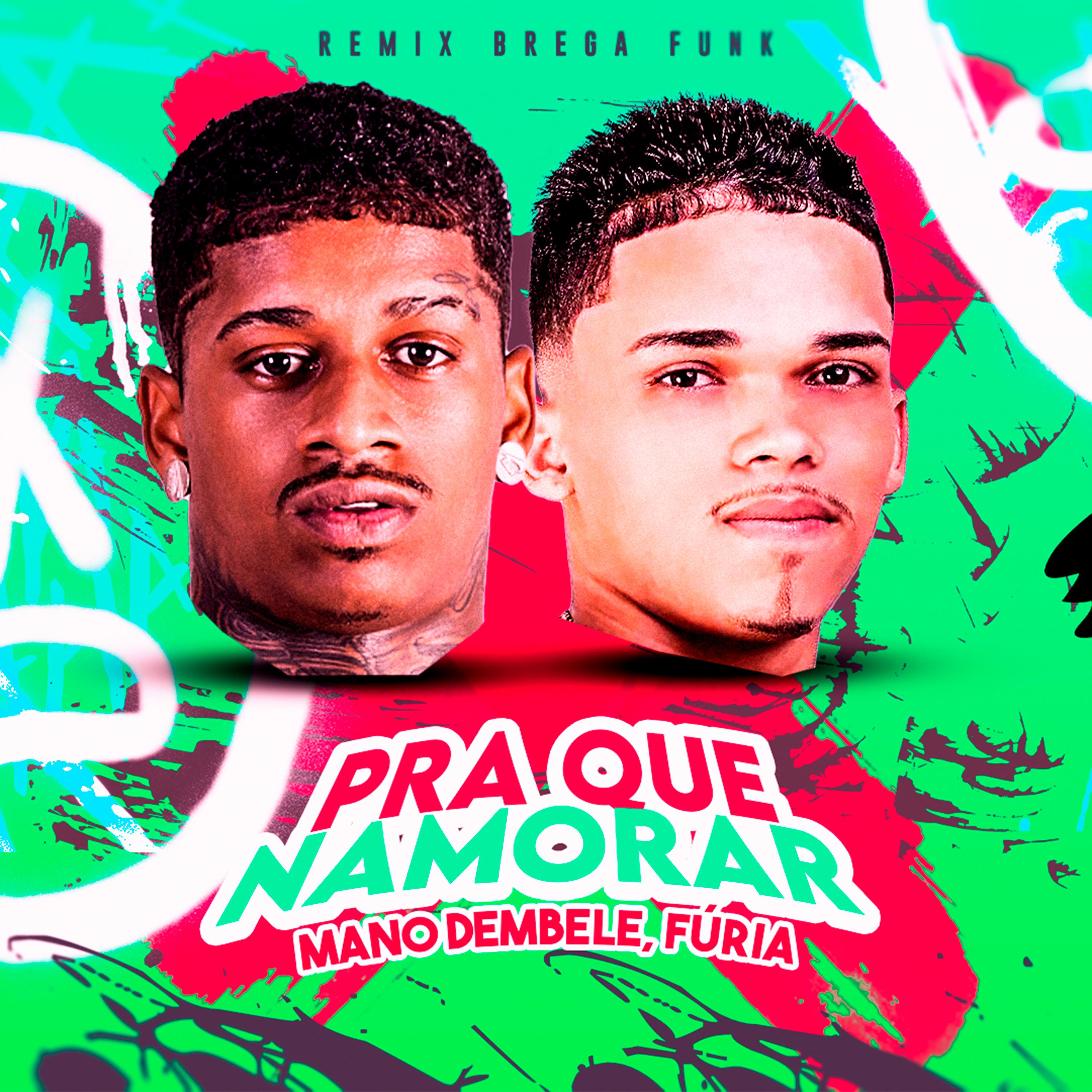 Постер альбома Pra Que Namorar (Remix Brega Funk)