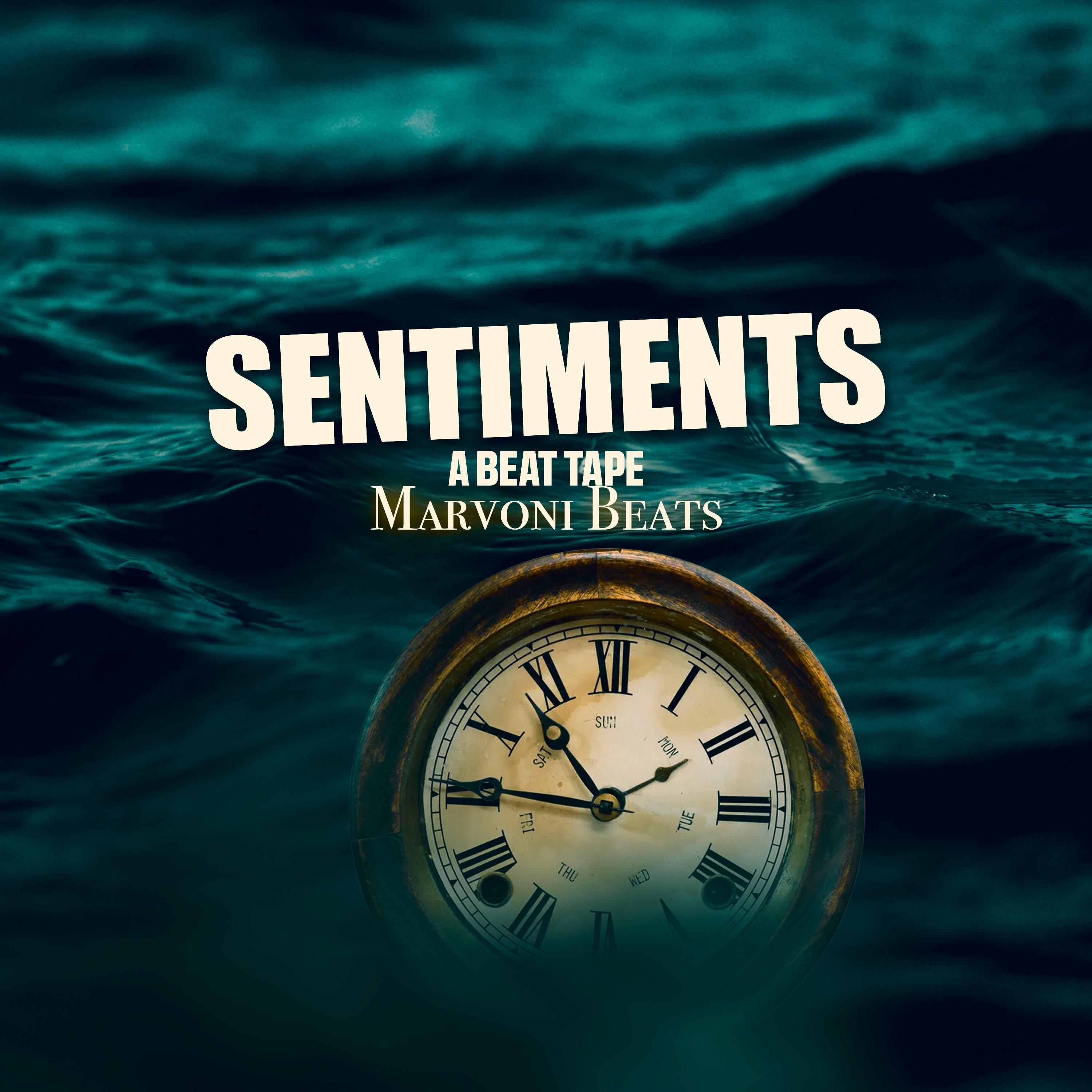 Постер альбома Sentiments (A Beat Tape)