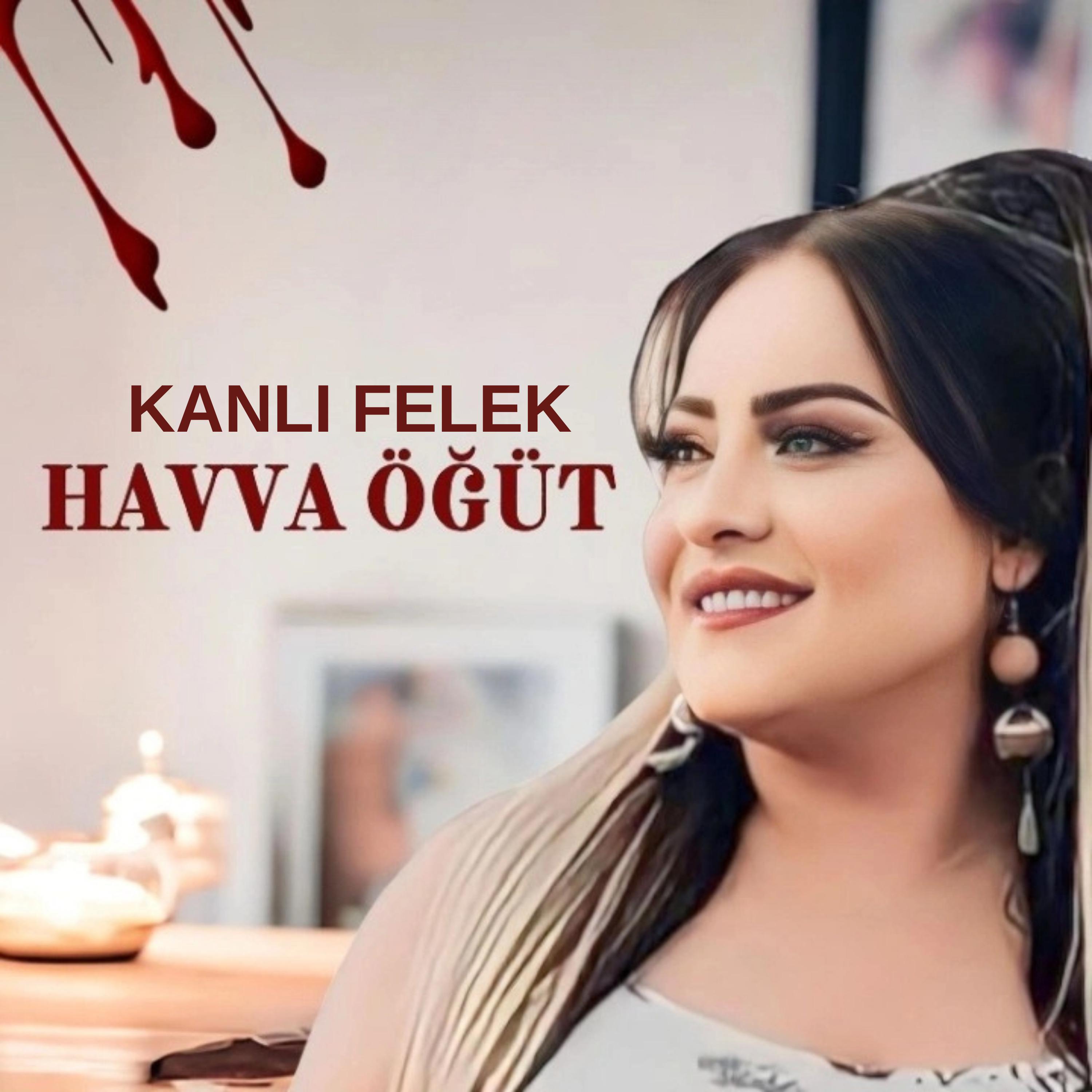 Постер альбома Kanlı Felek