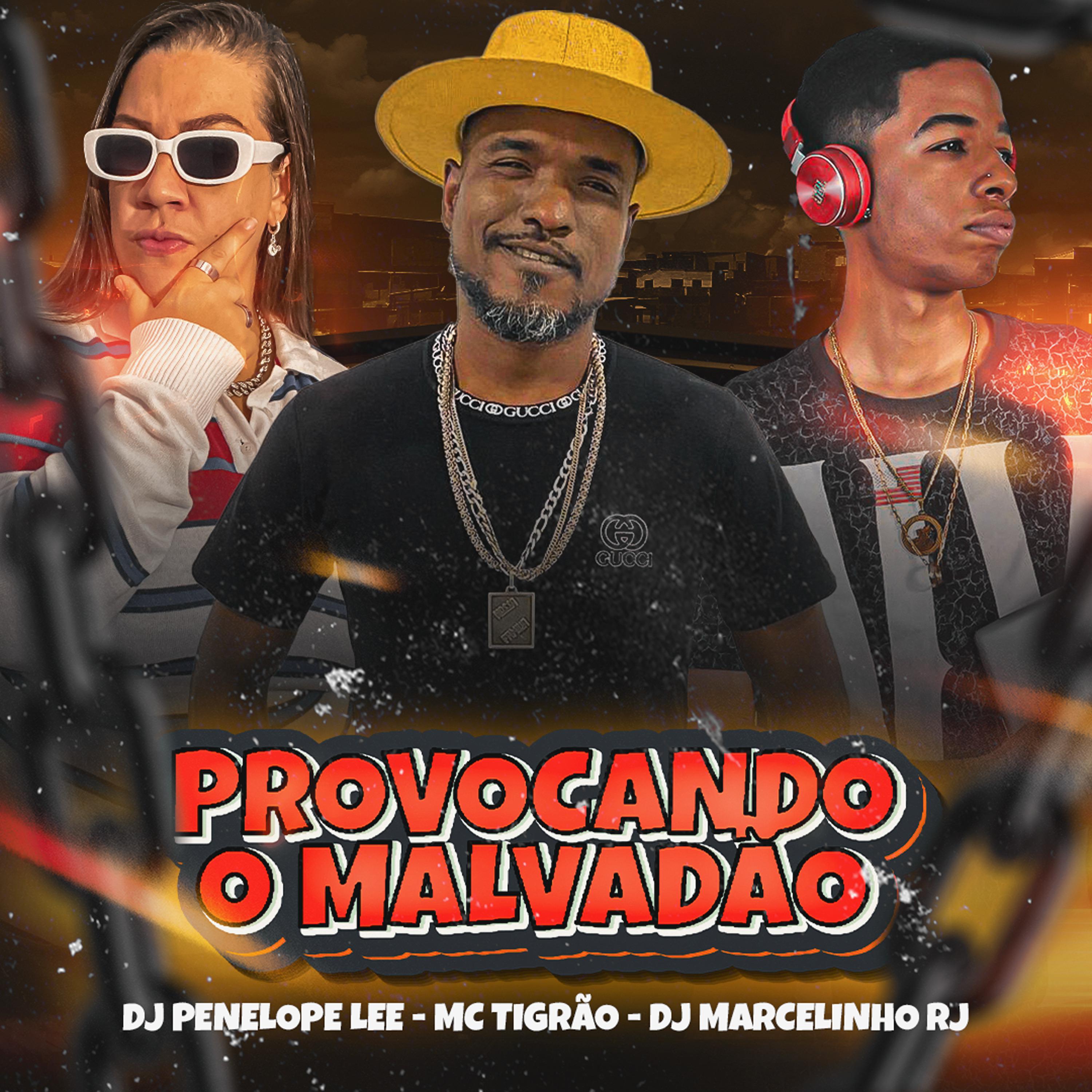 Постер альбома Provocando o Malvadão
