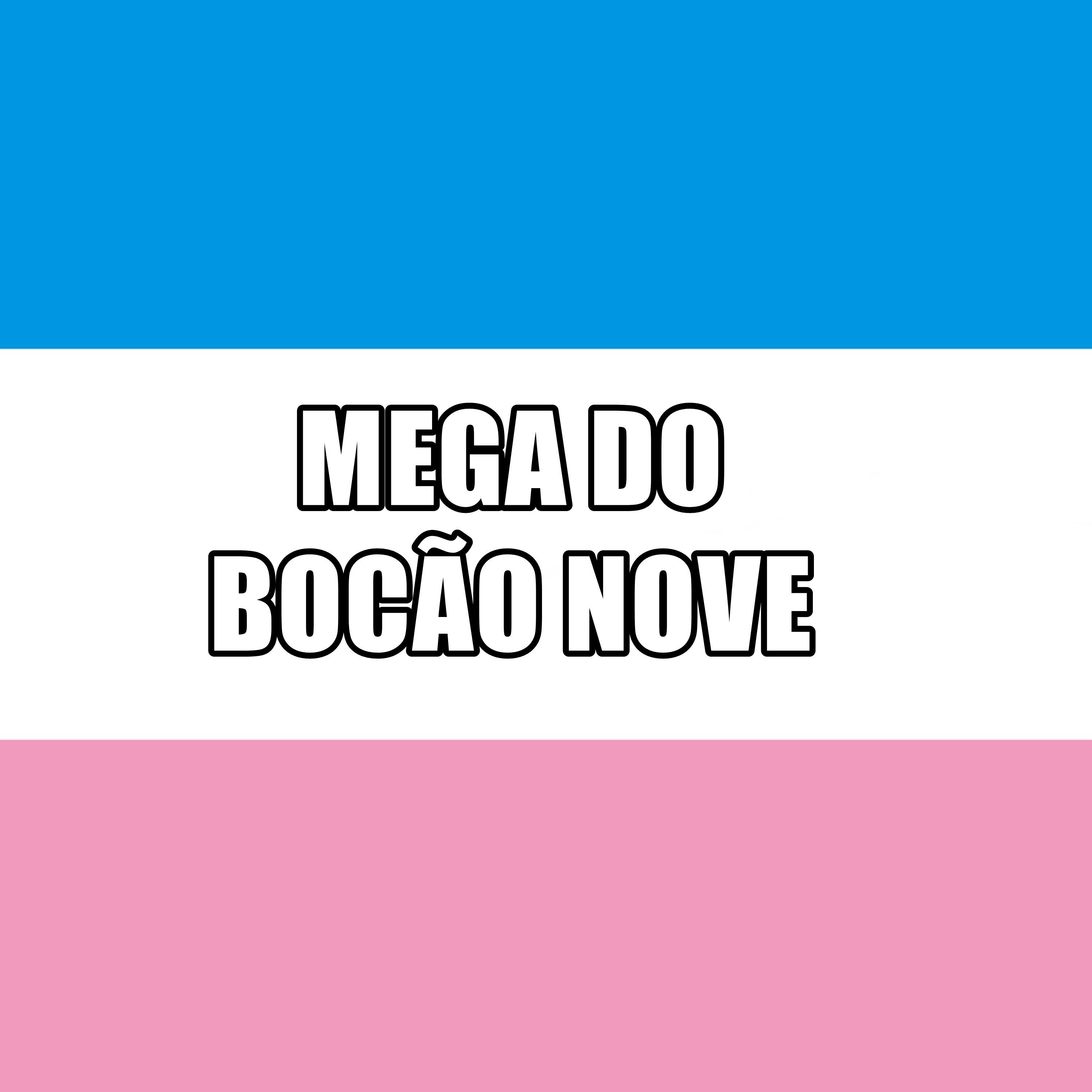 Постер альбома Mega do Bocão Nove