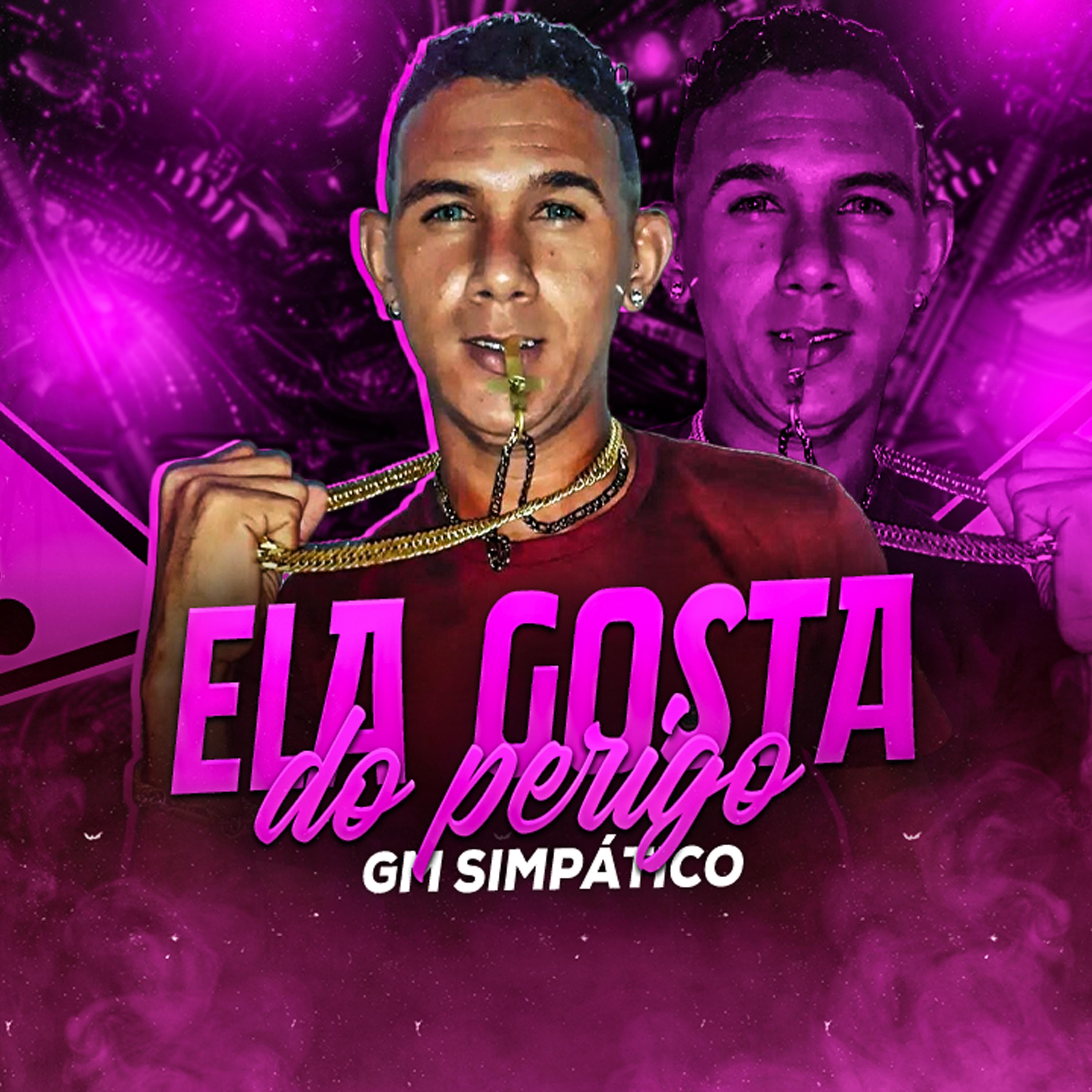 Постер альбома Ela Gosta do Perigo