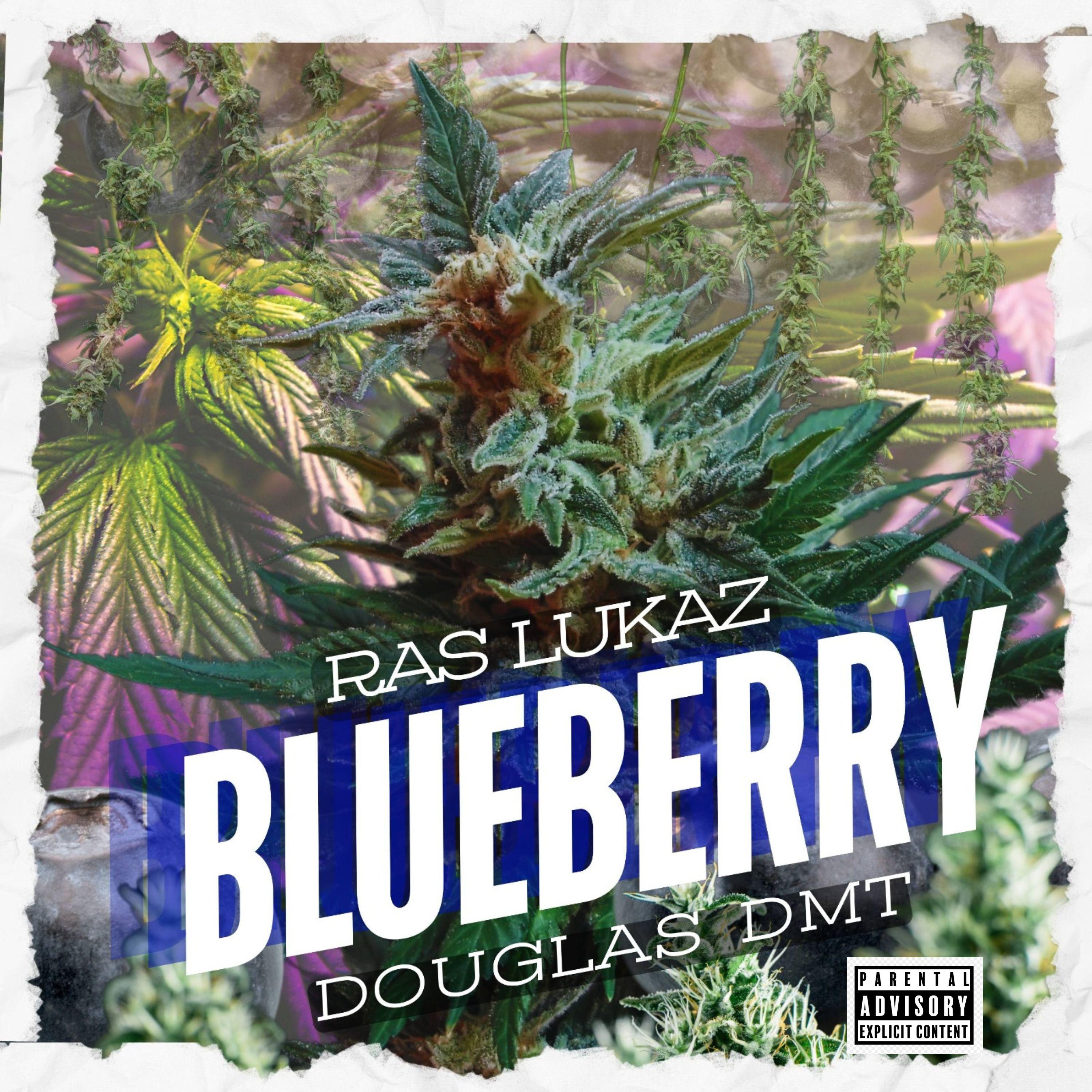 Постер альбома Blueberry, Single