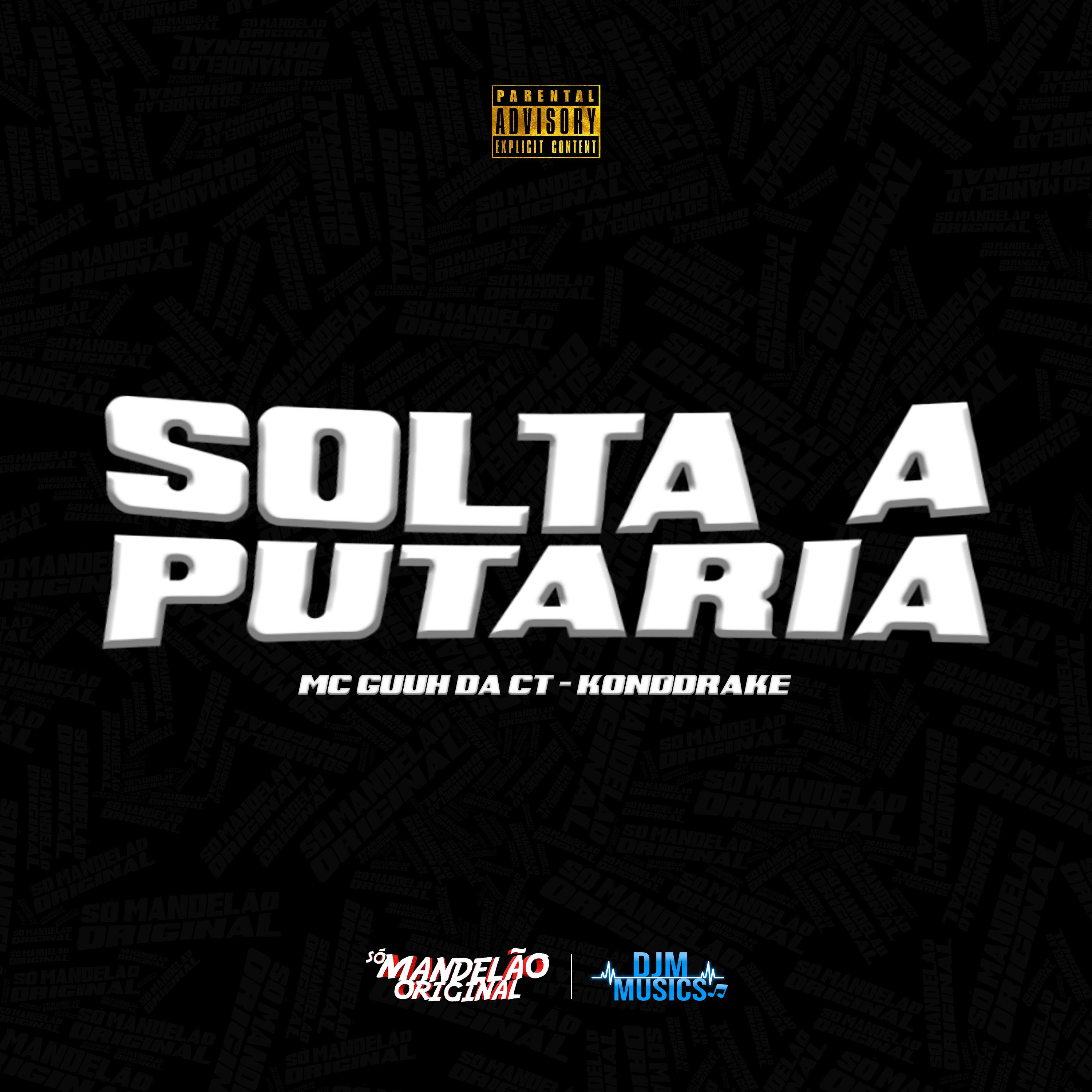 Постер альбома Solta a Putaria