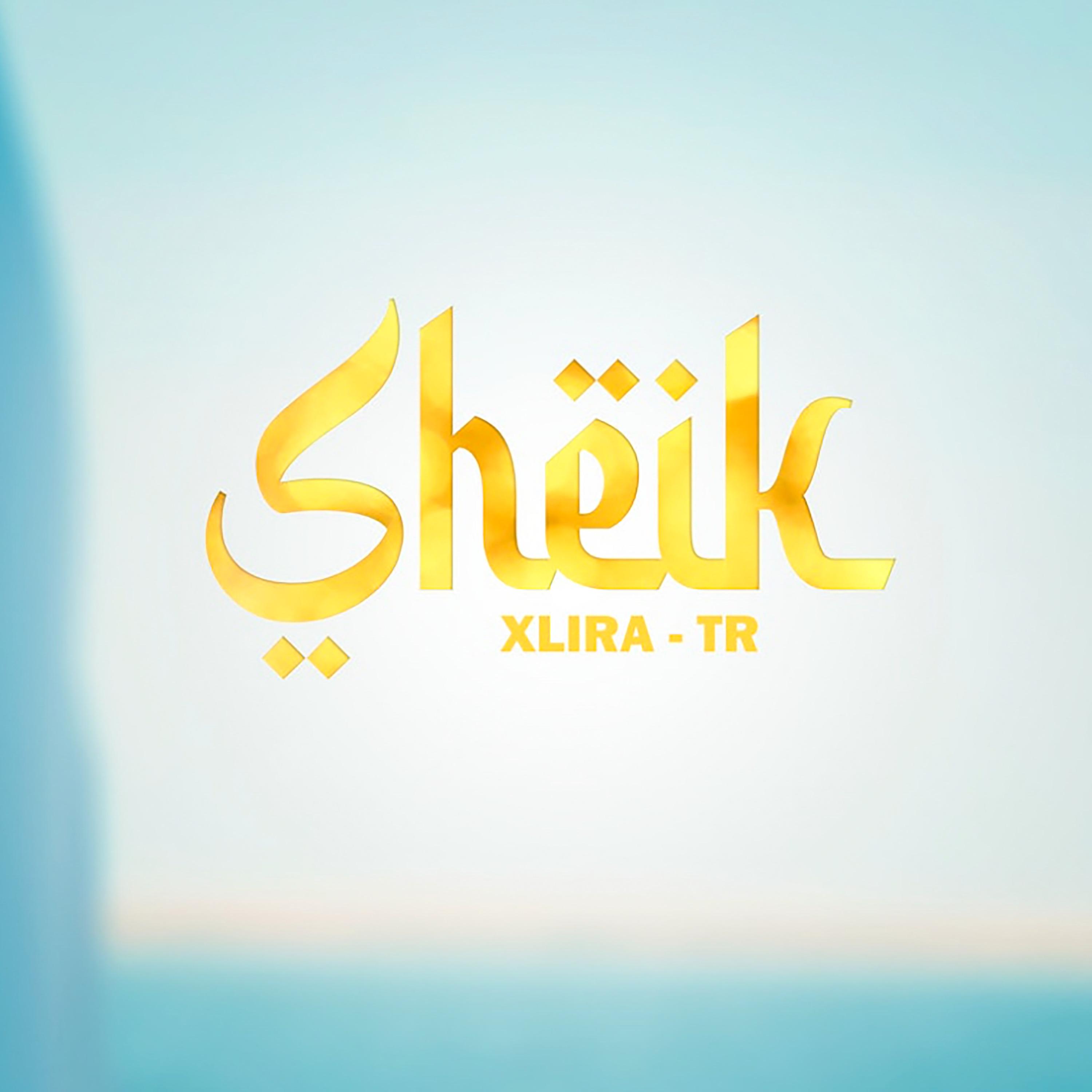 Постер альбома Sheik