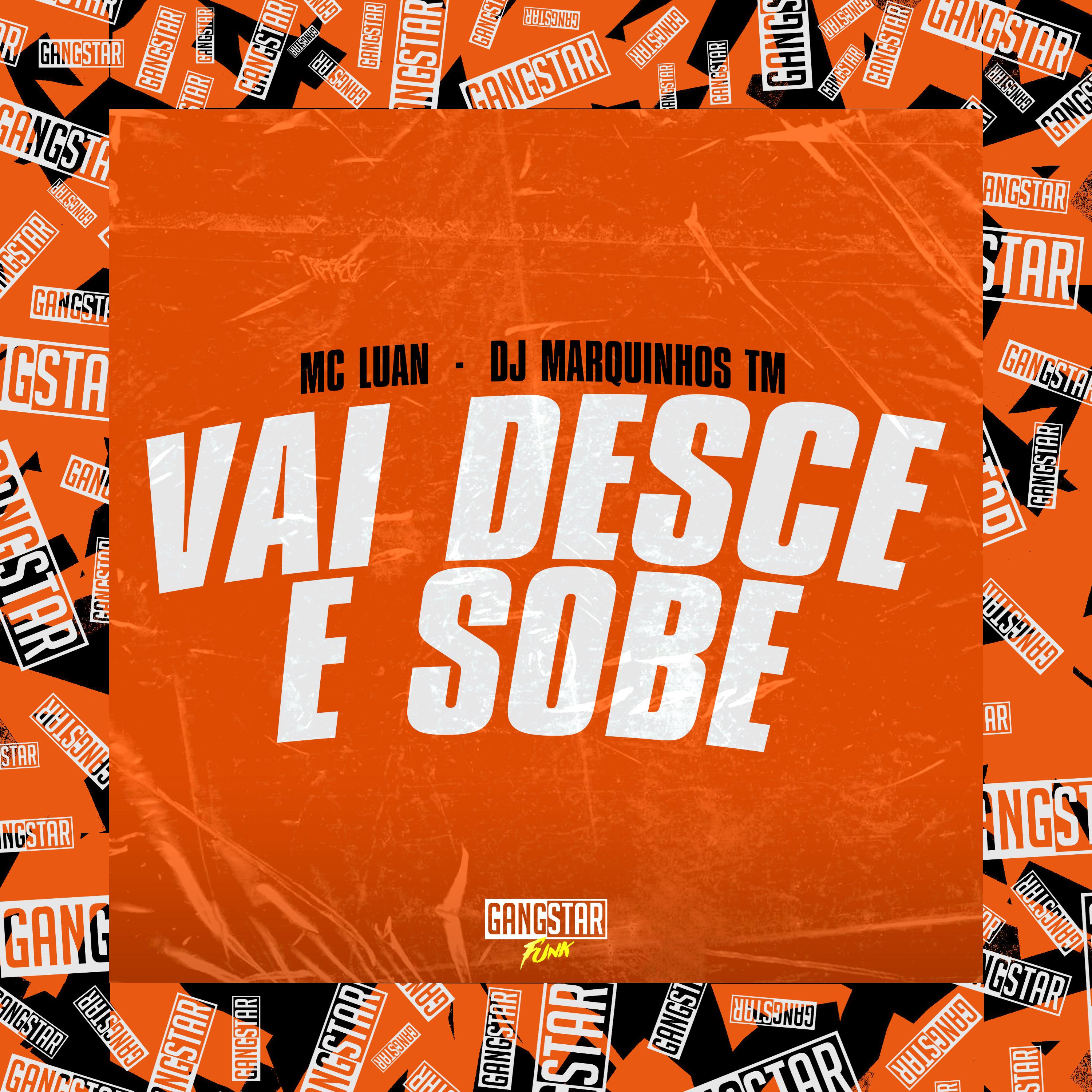Постер альбома Vai Desce e Sobe