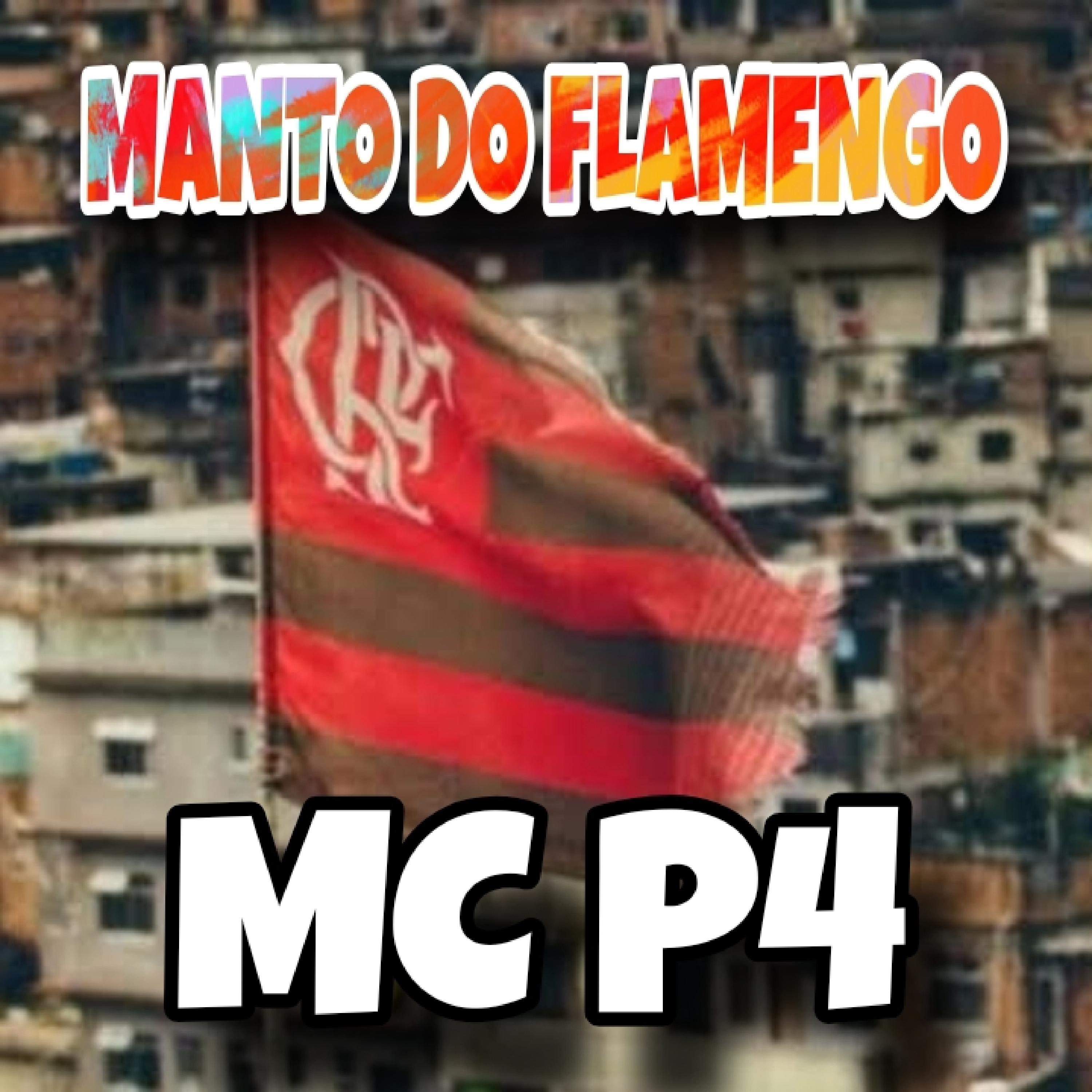 Постер альбома Manto do Flamengo
