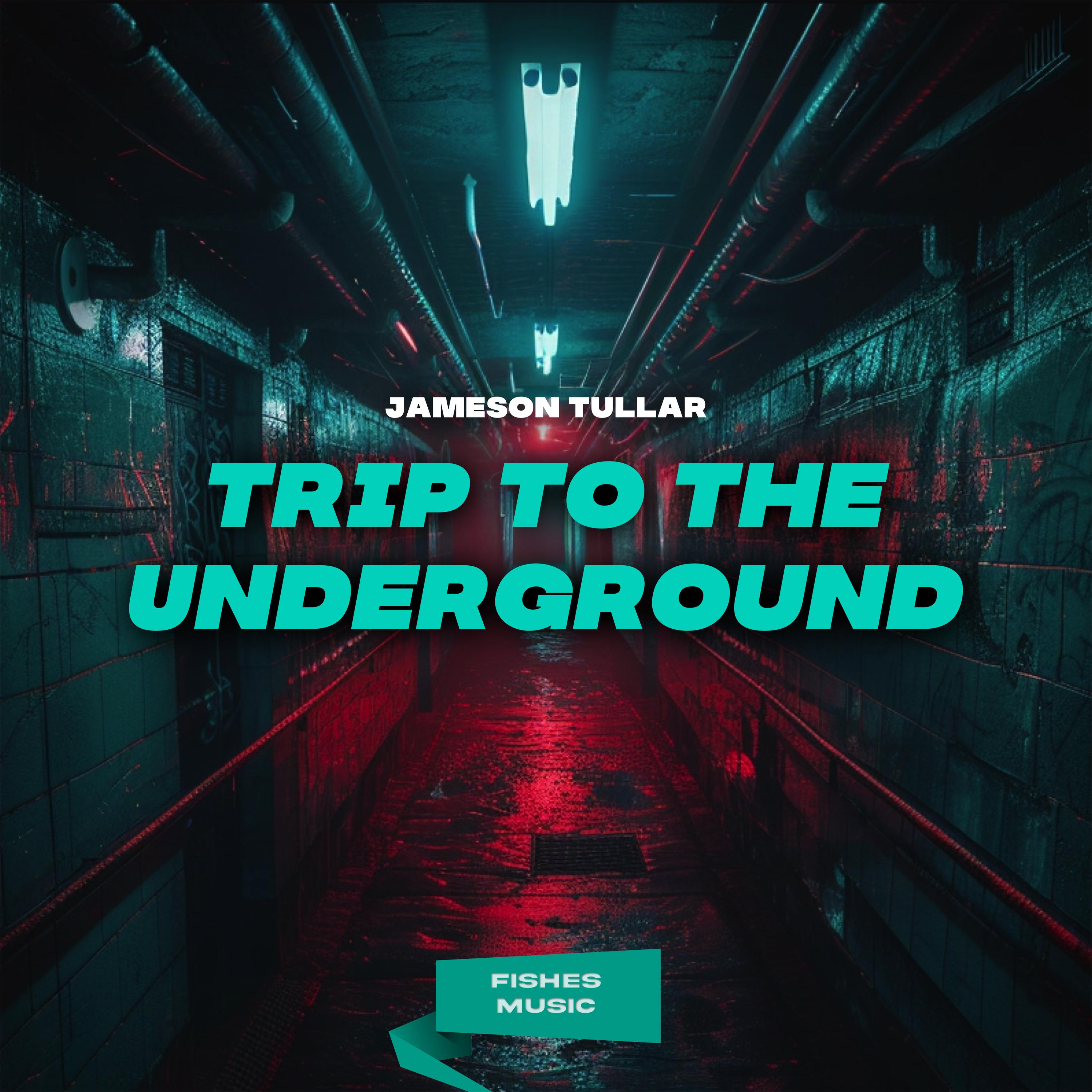 Постер альбома Trip To The Underground