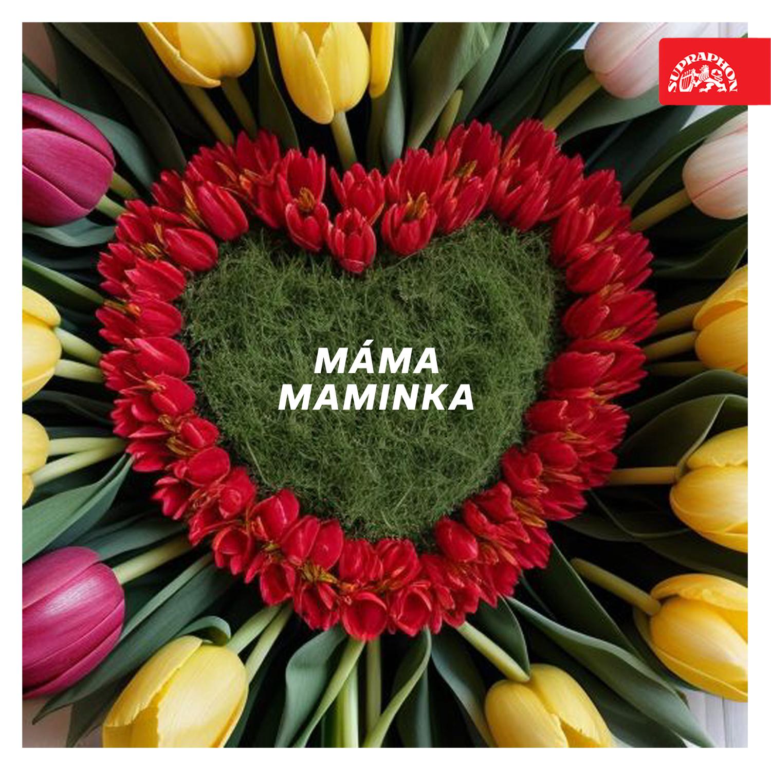 Постер альбома Máma, maminka