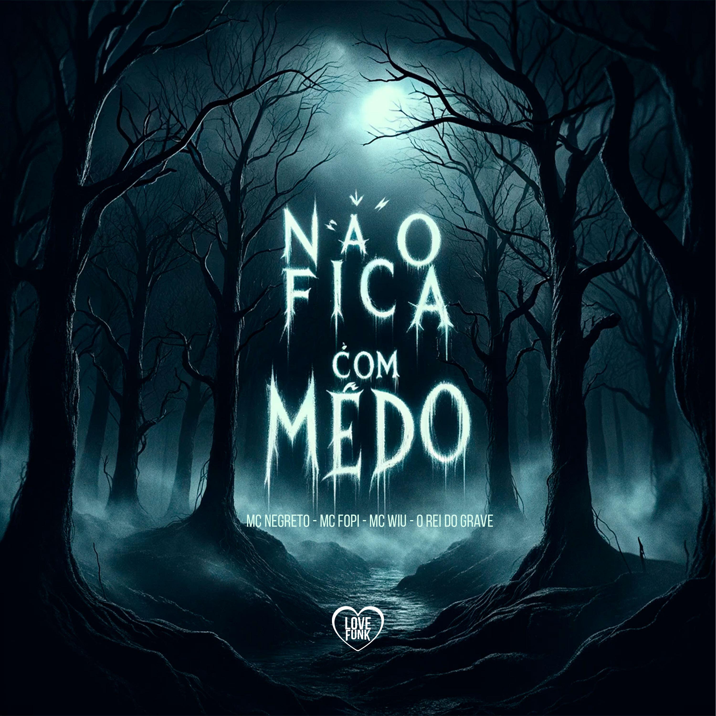 Постер альбома Não Fica Com Medo