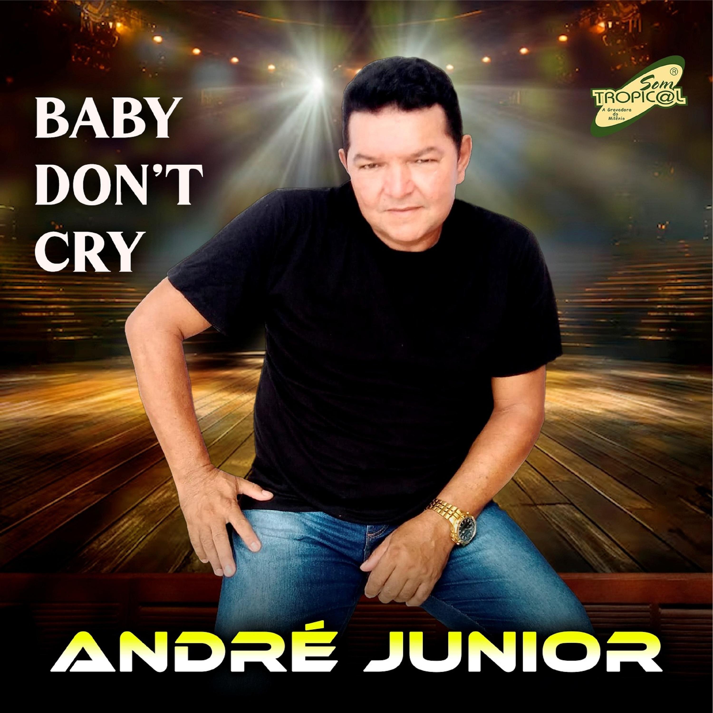 Постер альбома Baby Don't Cry