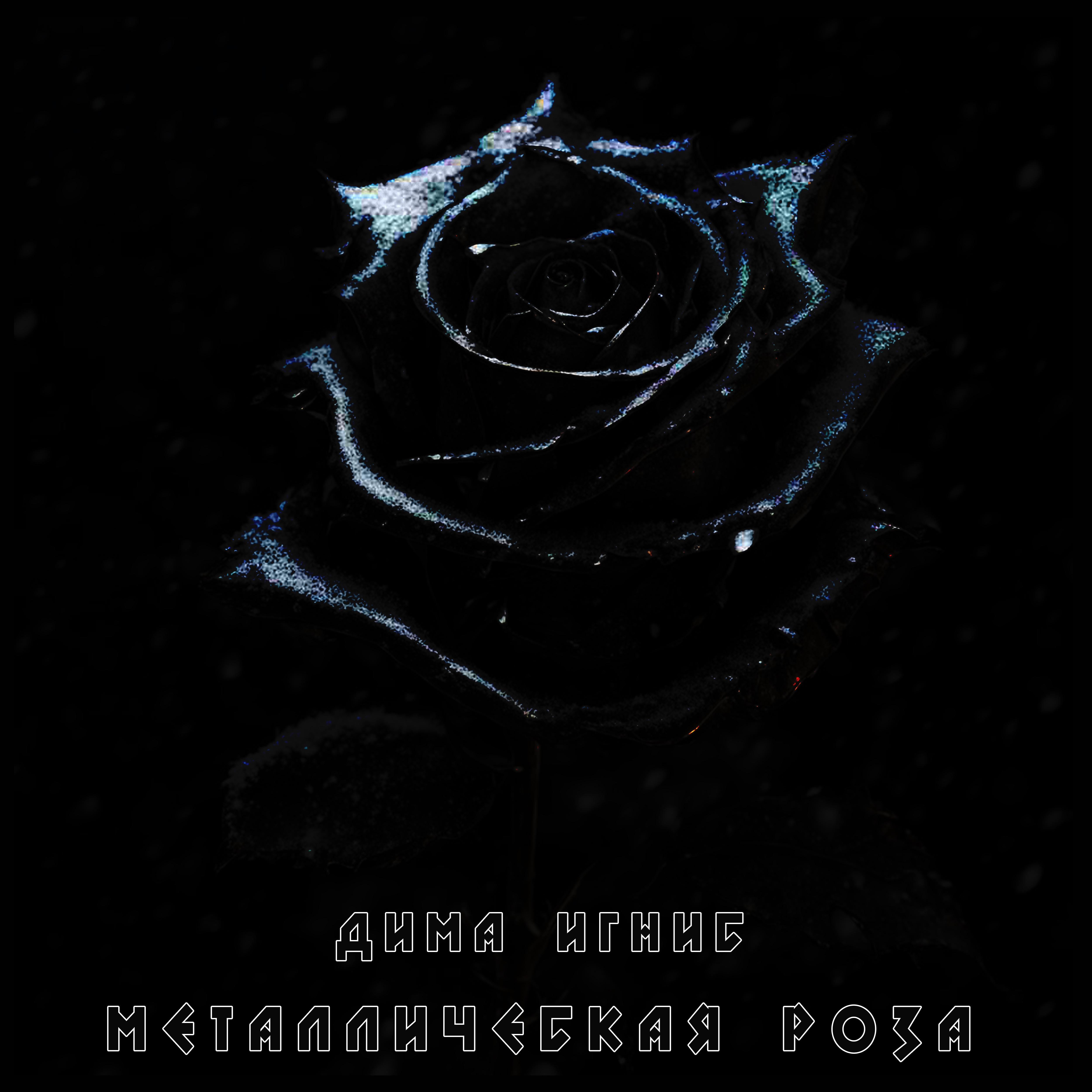 Постер альбома Металлическая роза