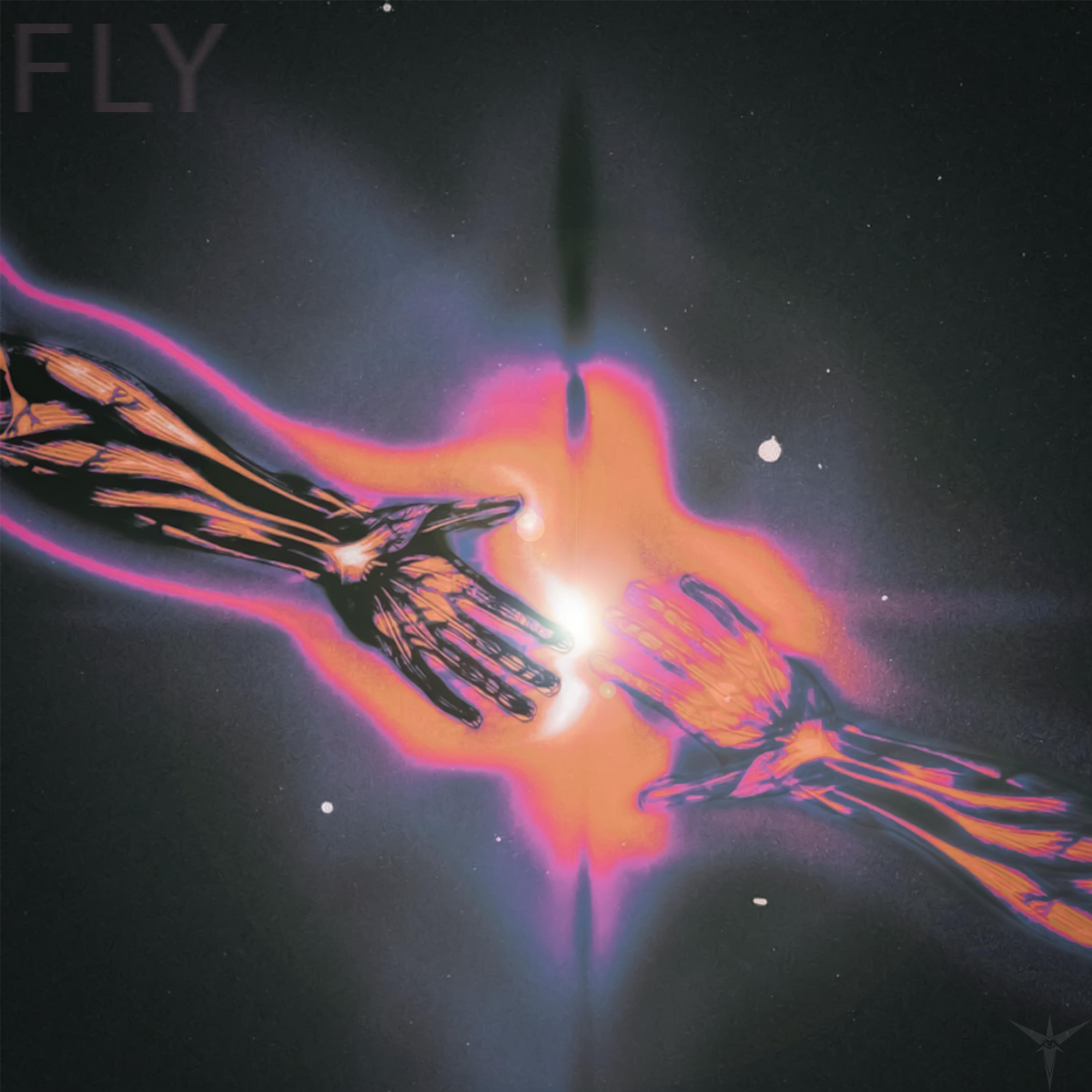 Постер альбома FLY