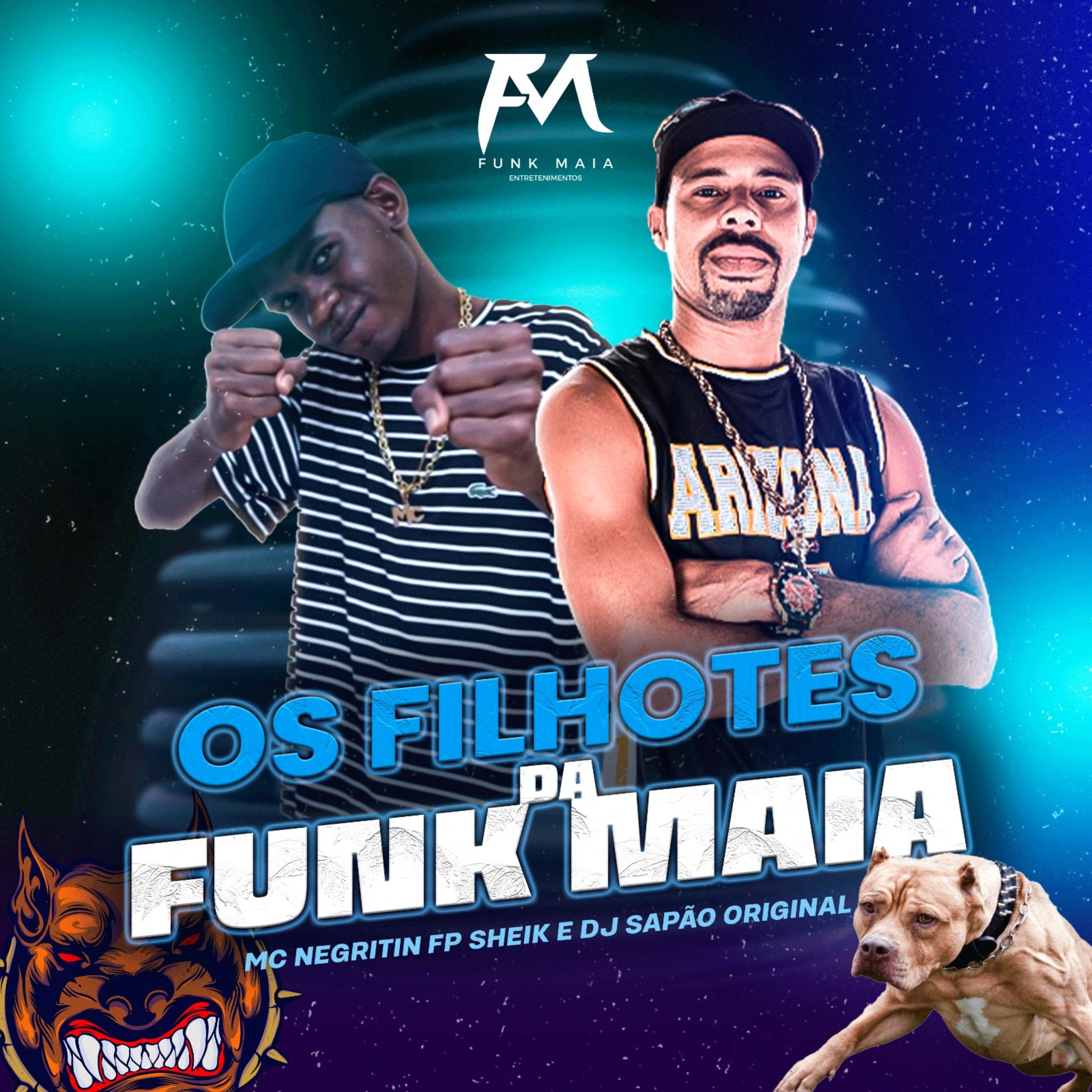 Постер альбома Os Filhotes da Funk Maia