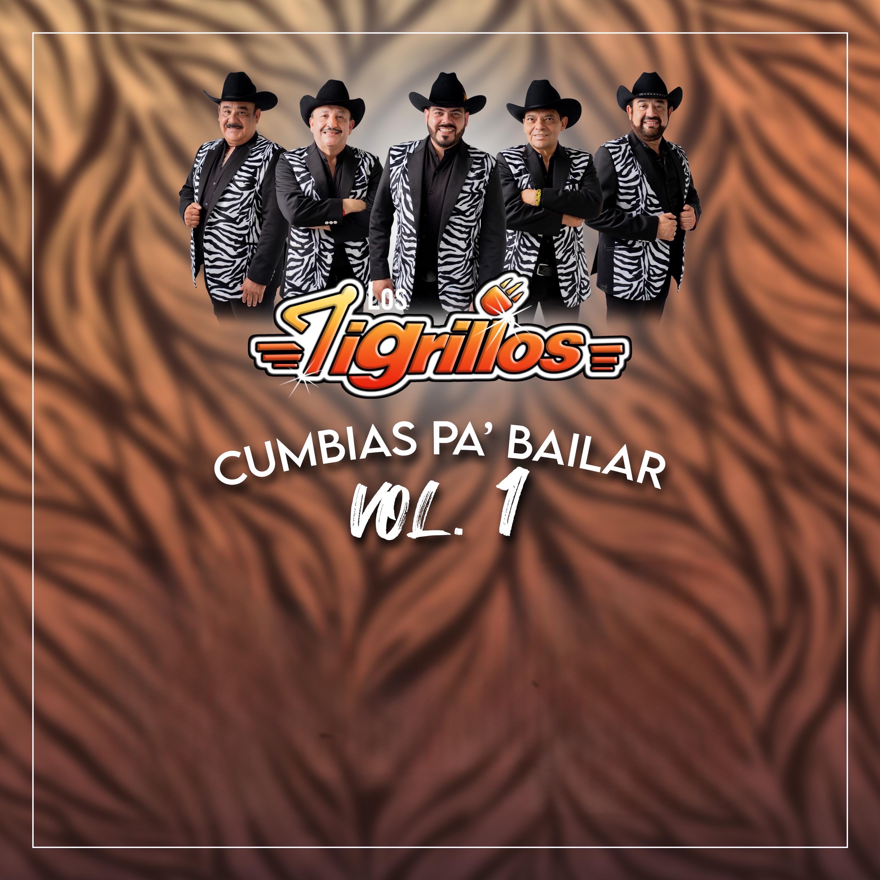 Постер альбома Cumbias Pa' Bailar, Vol.1