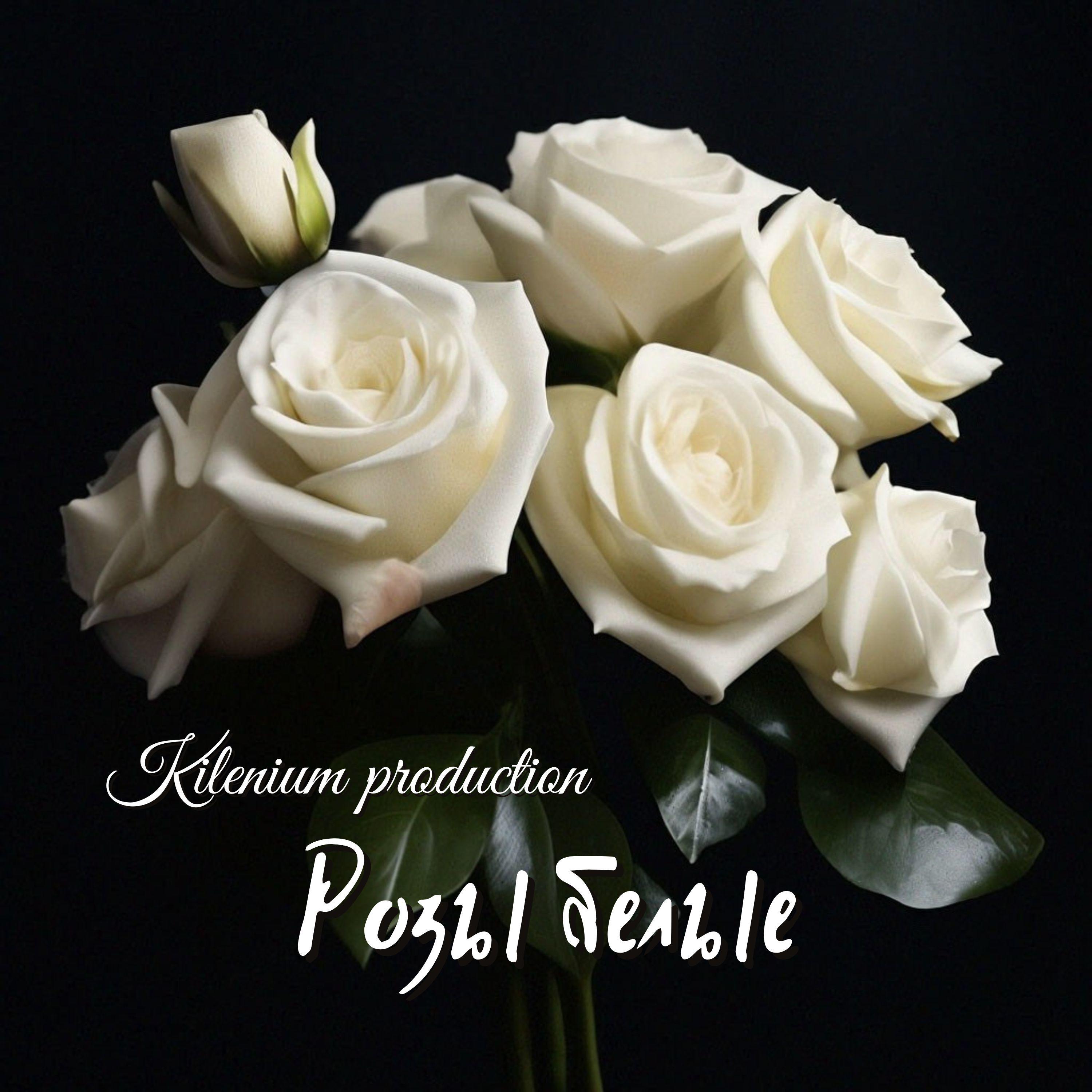 Постер альбома Розы белые