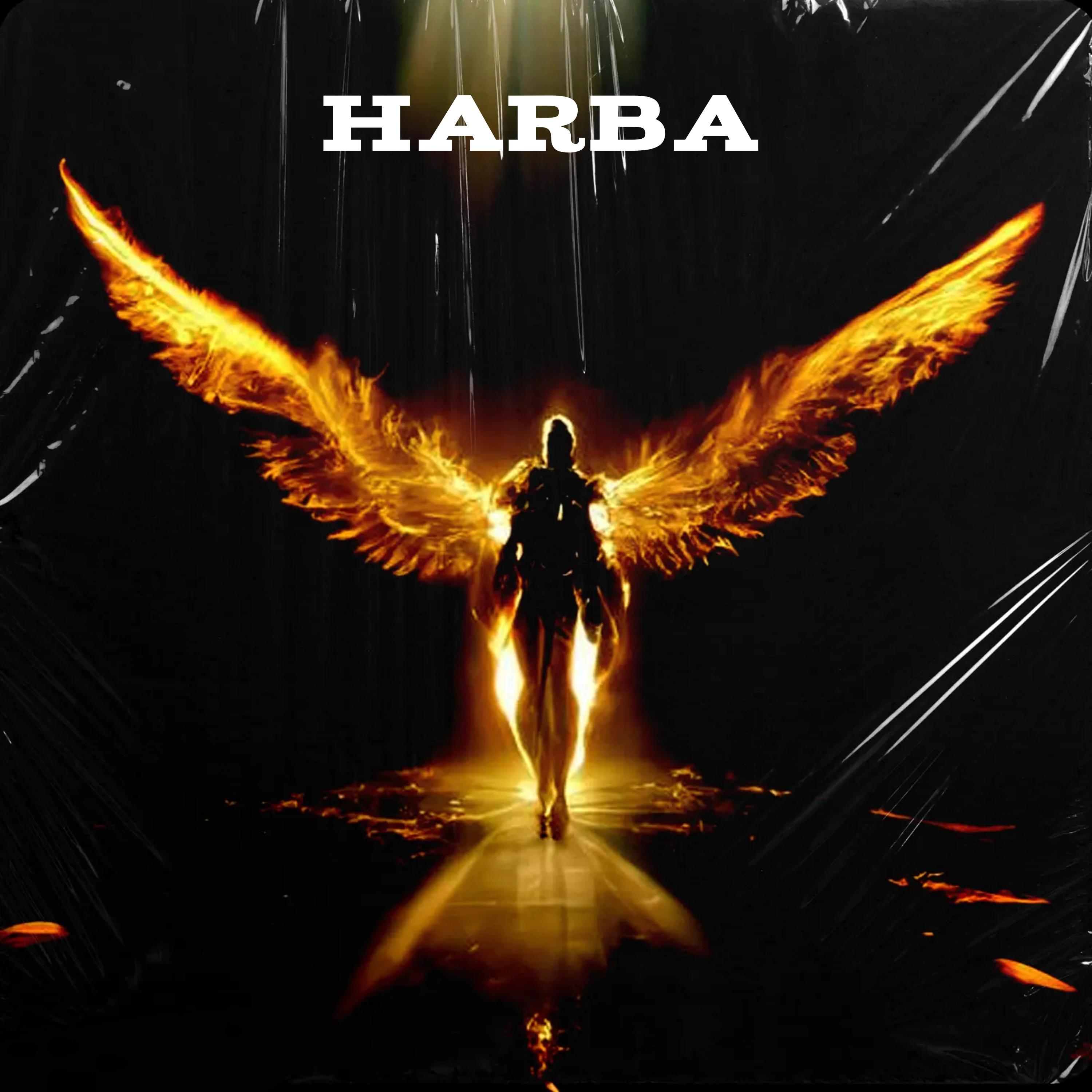 Постер альбома Harba