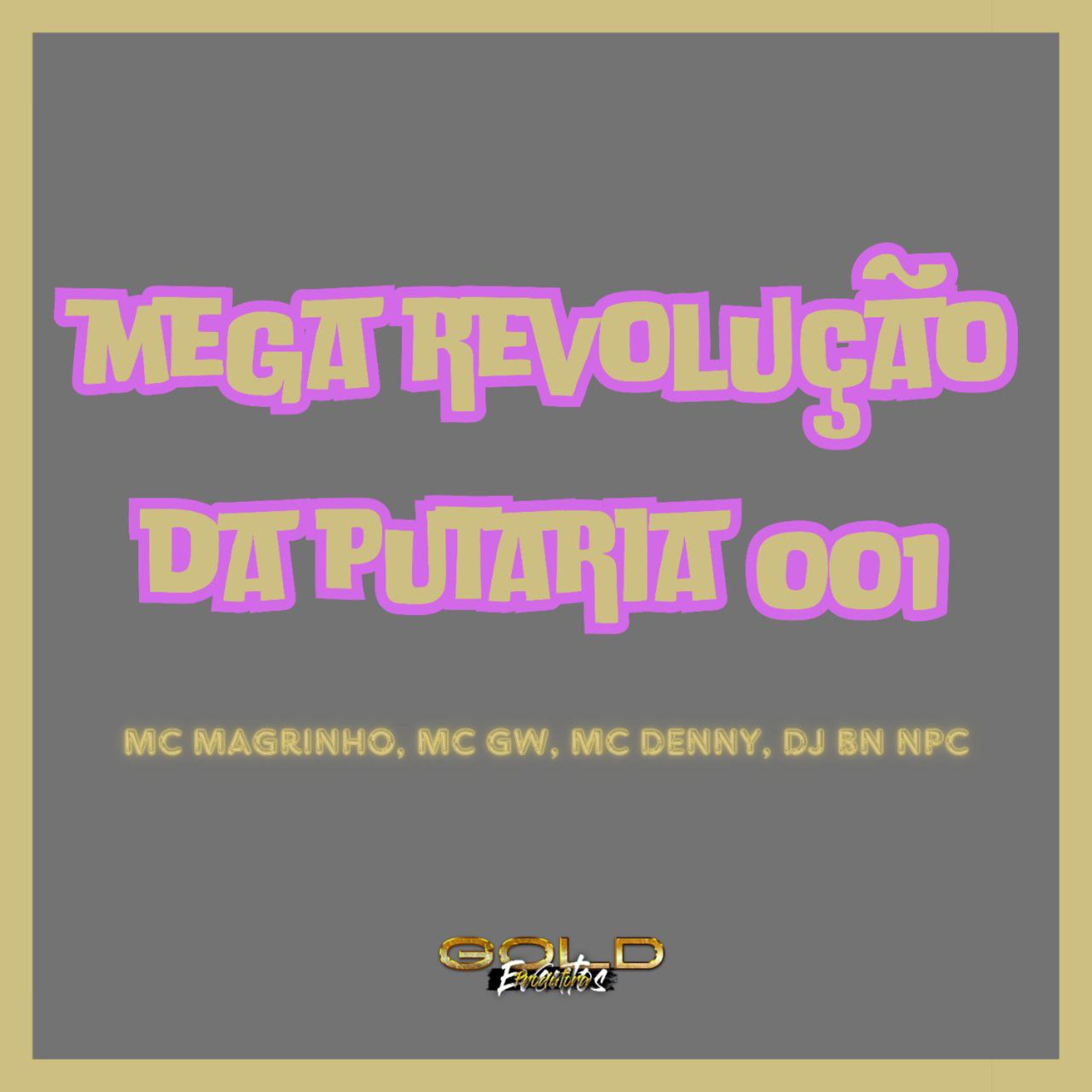 Постер альбома Mega Revolução da Putaria 001