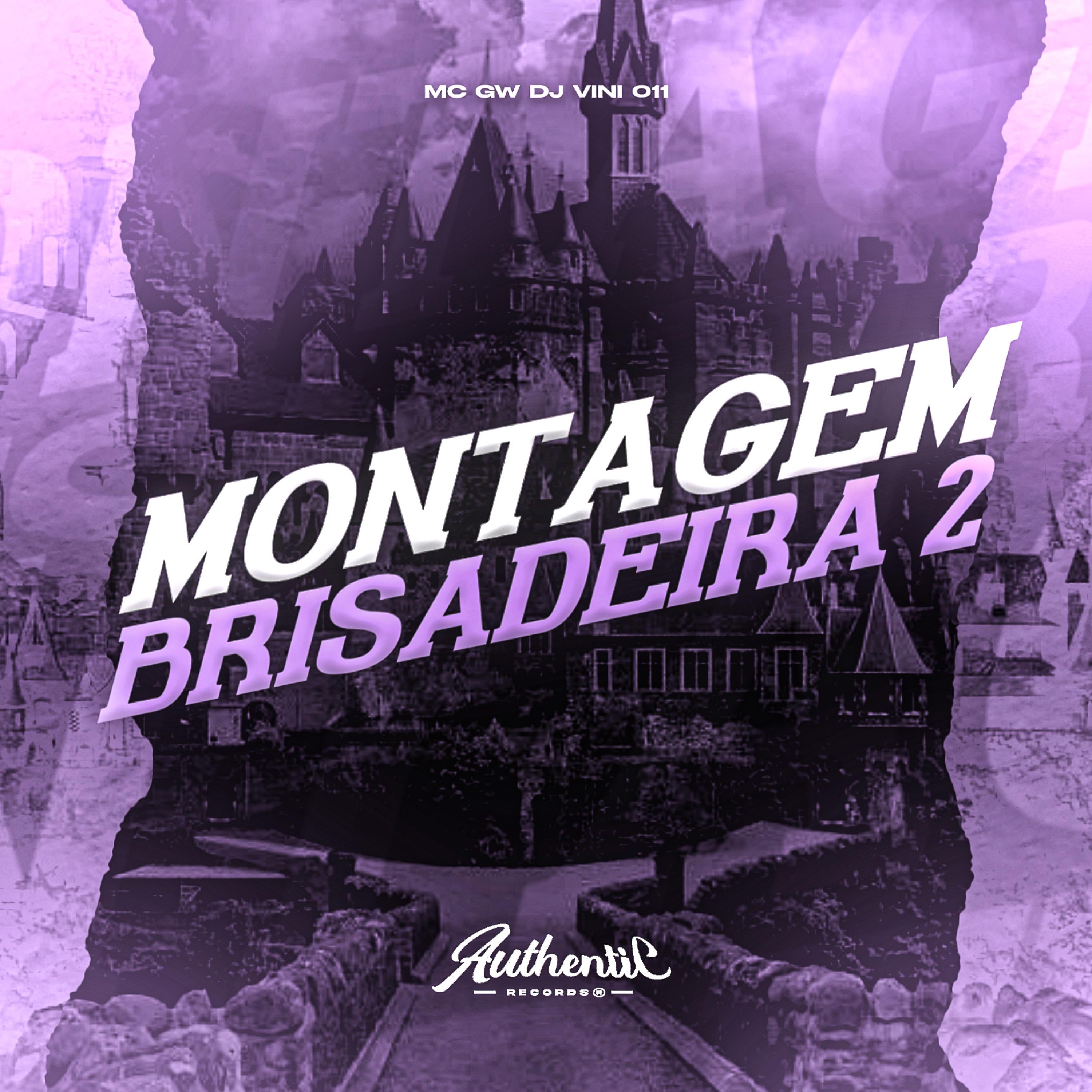 Постер альбома Montagem Brisadeira 2