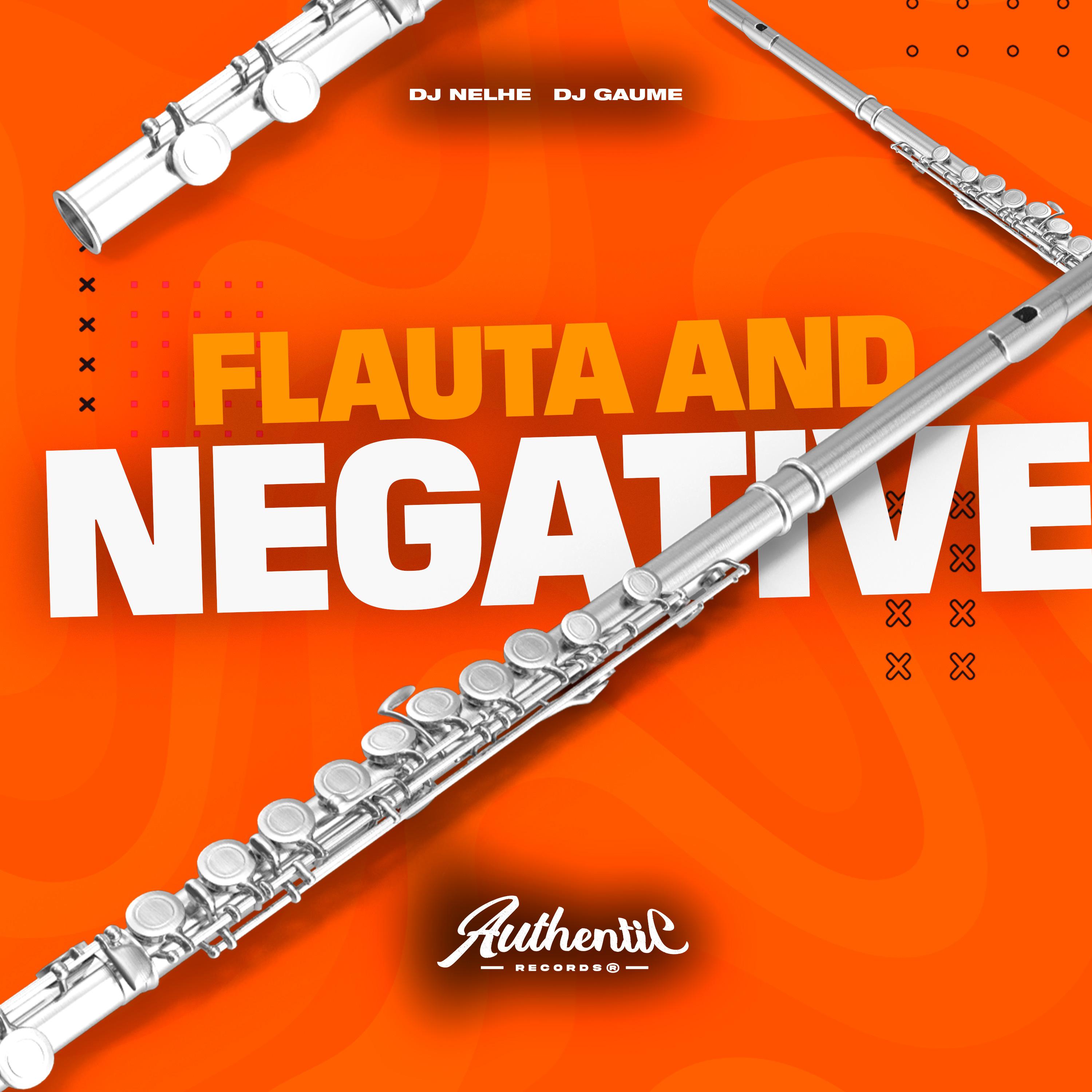 Постер альбома Flauta And Negative