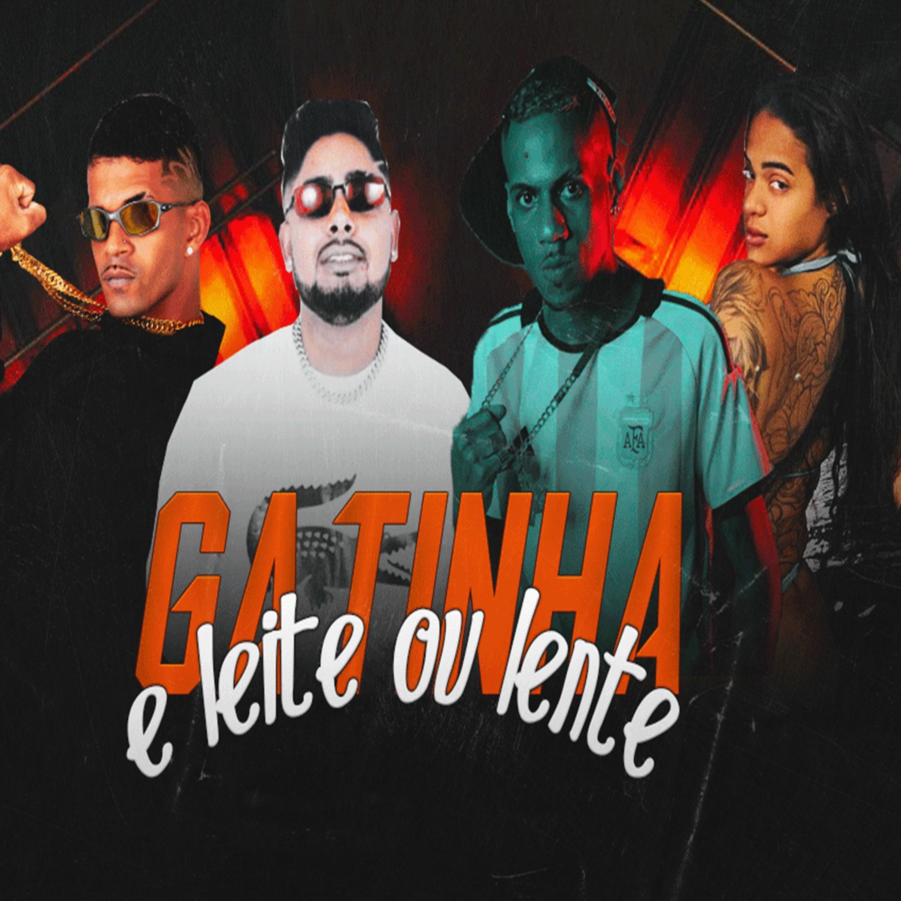 Постер альбома Gatinha É Leite ou Lente