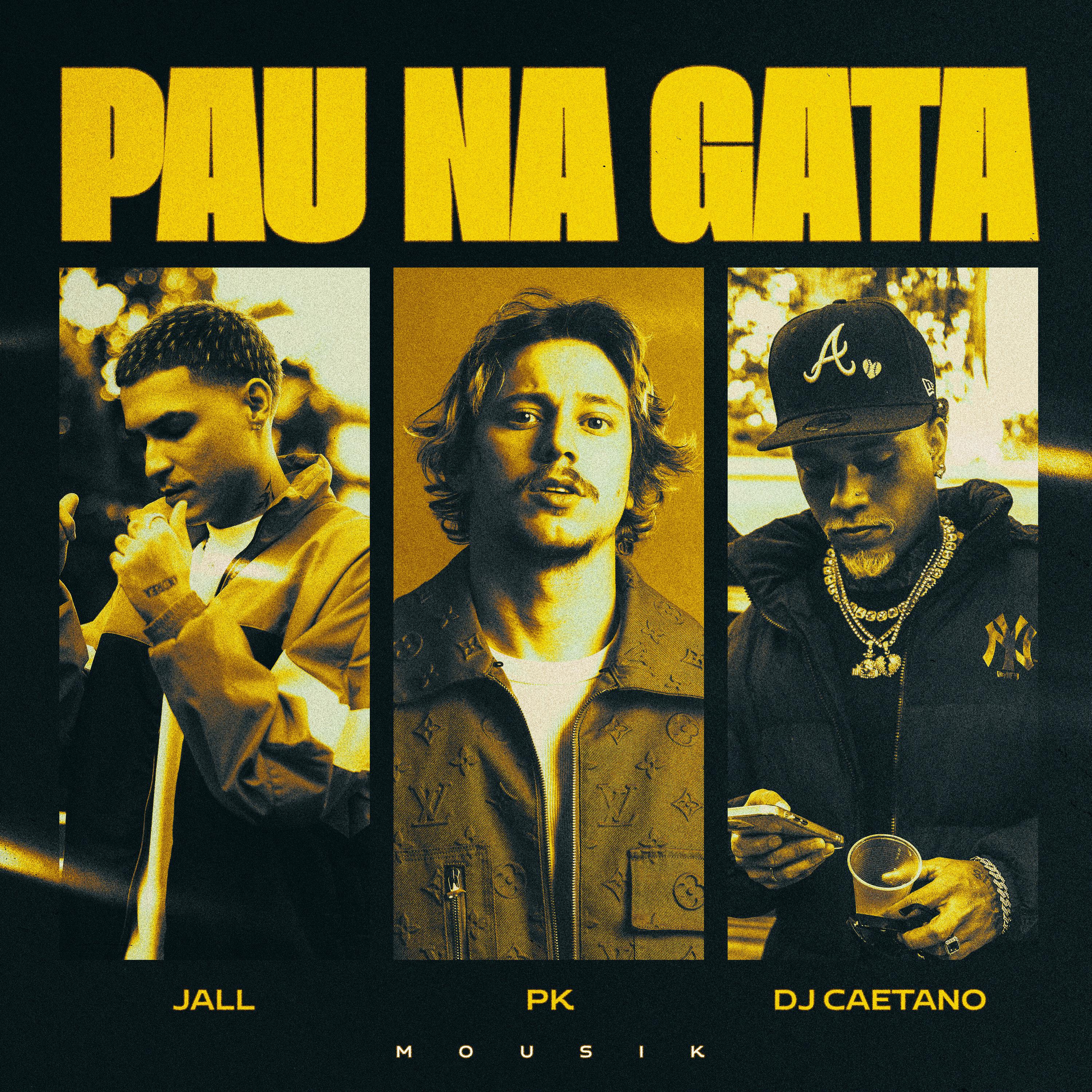 Постер альбома Pau na Gata