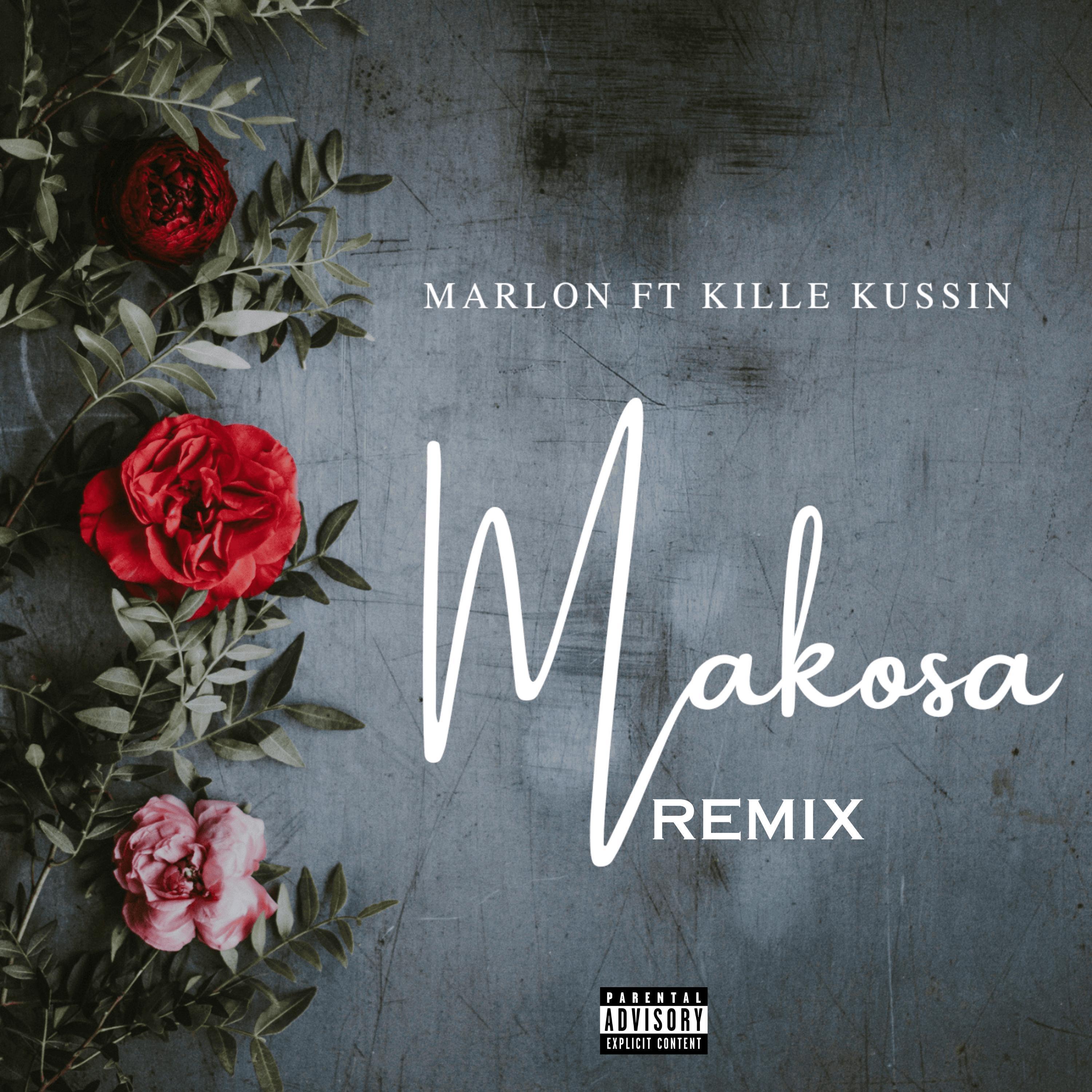 Постер альбома Makosa remix (feat. Kille Kussin)