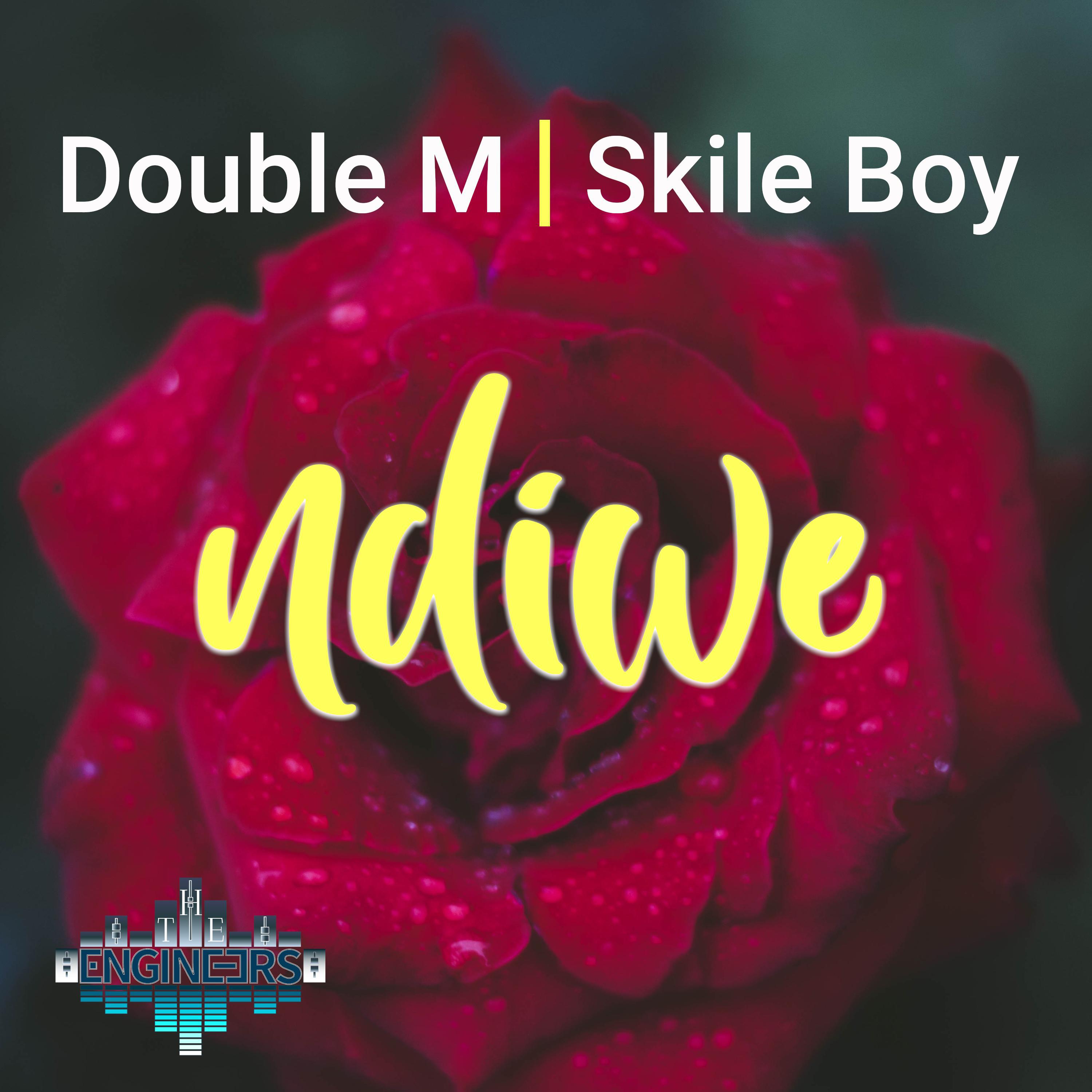 Постер альбома Ndiwe (feat. Double M & Skile Boy)