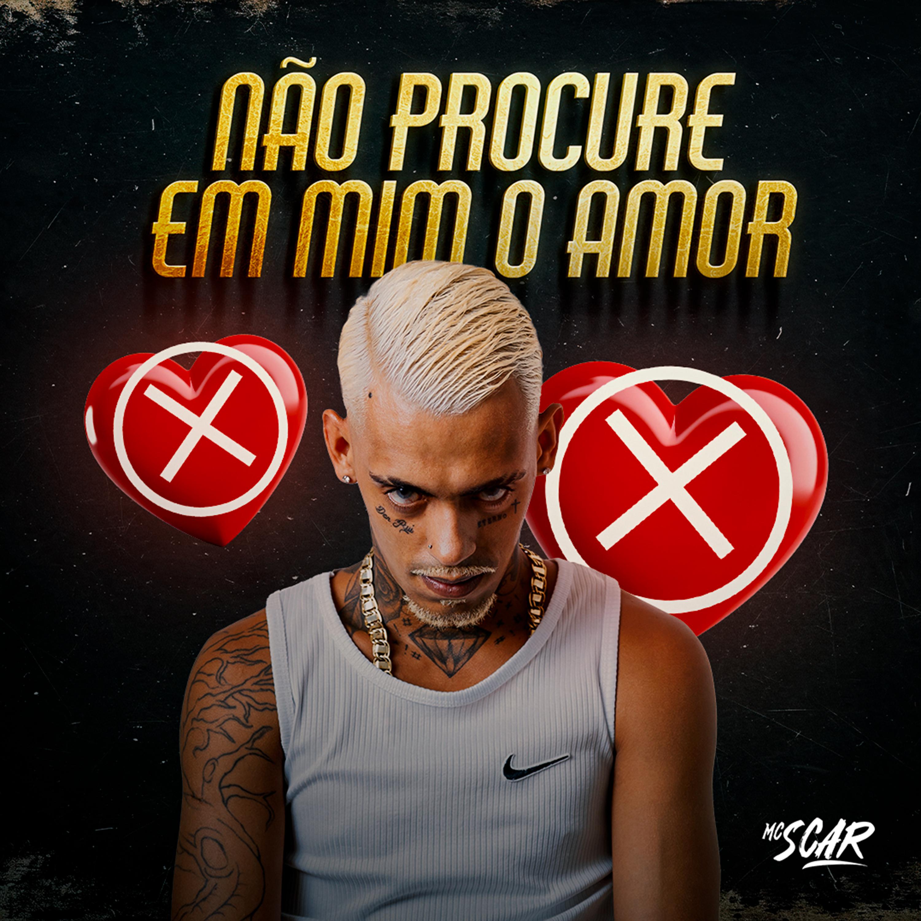 Постер альбома Não Procure em Mim o Amor