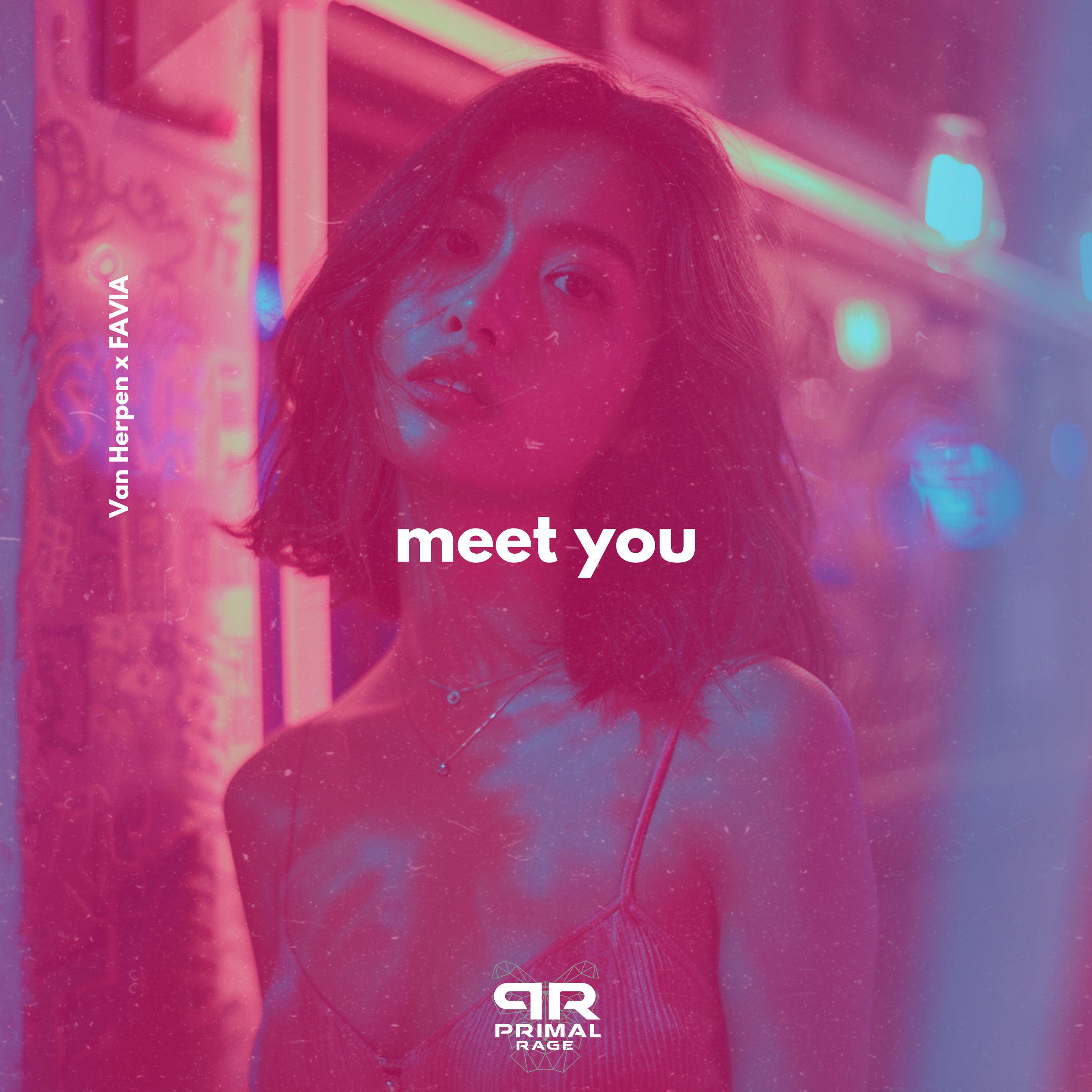 Постер альбома Meet You