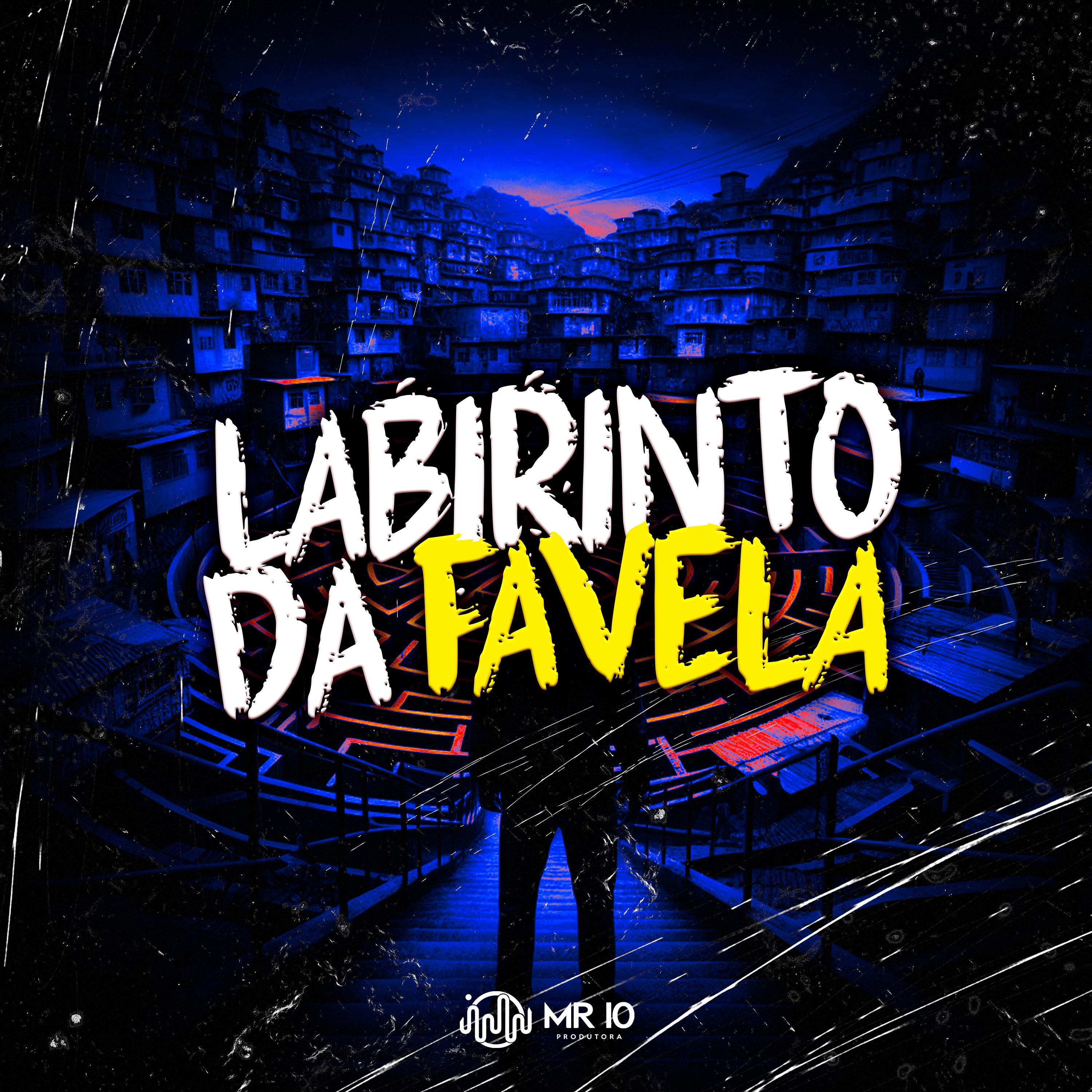 Постер альбома Labirinto da Favela