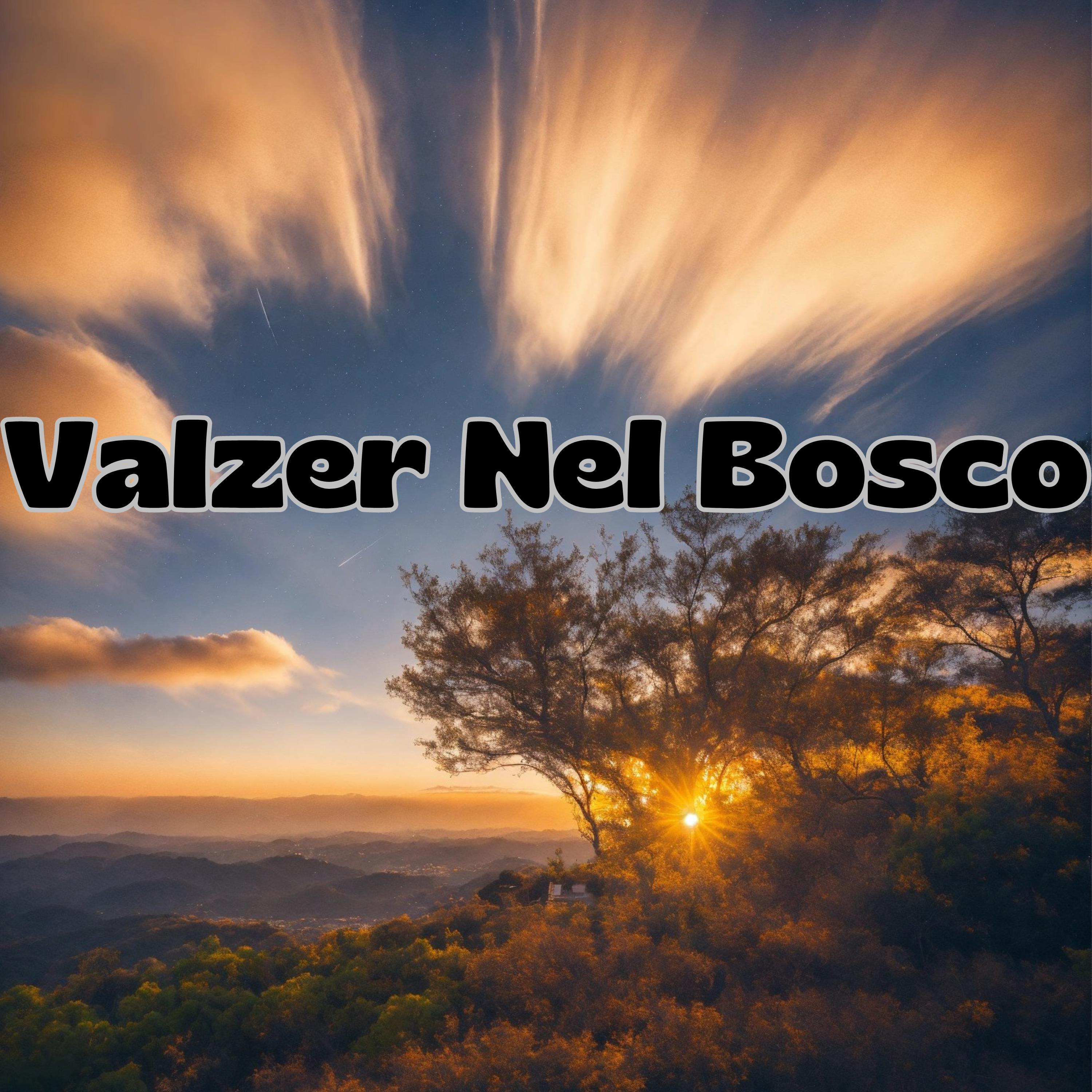 Постер альбома Valzer Nel Bosco