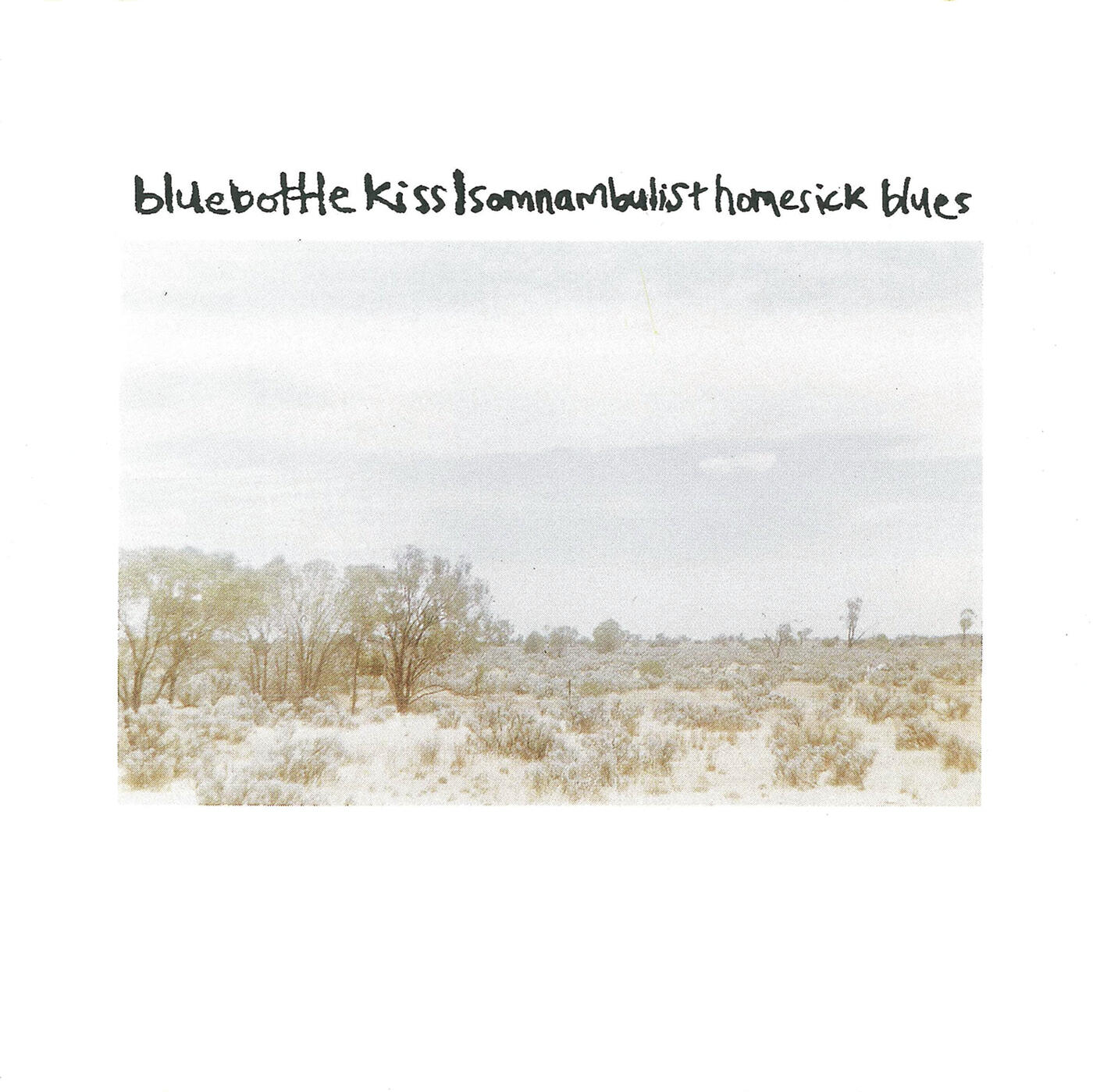 Bluebottle Kiss - Generic Teen