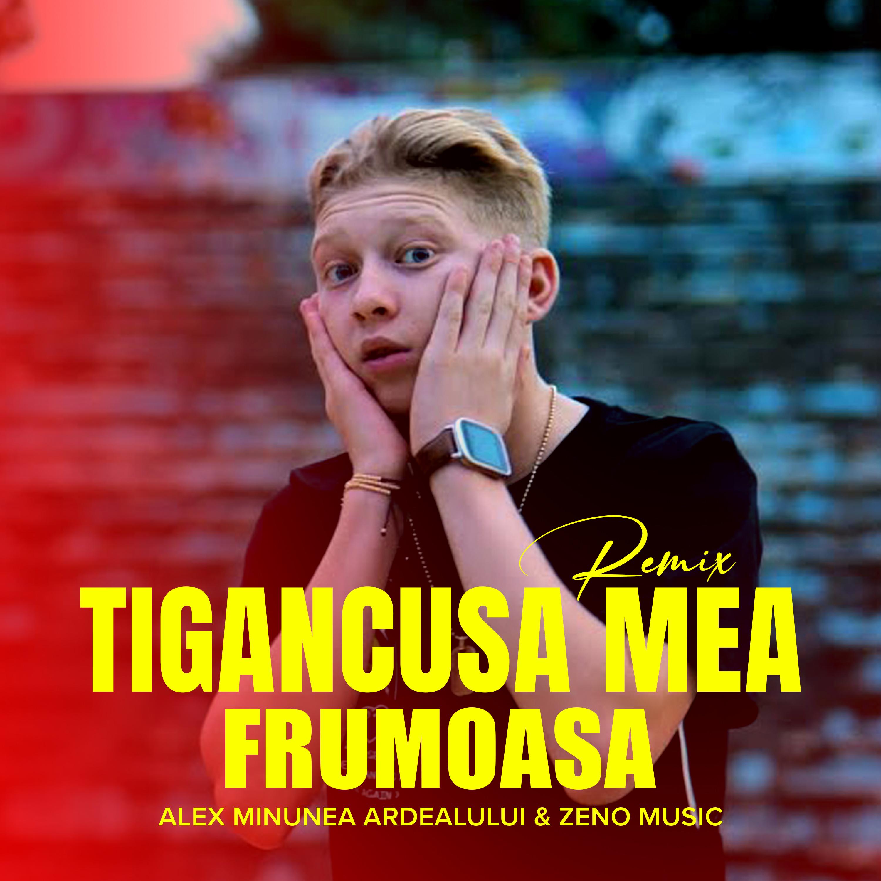 Постер альбома Tigancusa mea frumoasa
