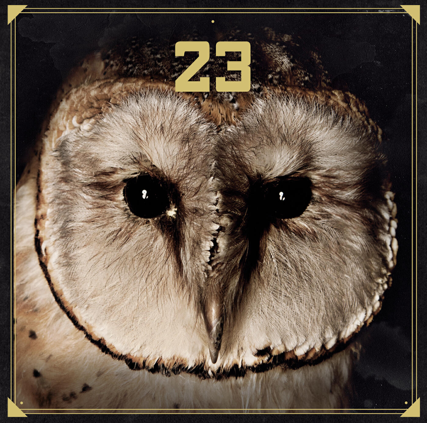23 - Schöne neue Welt